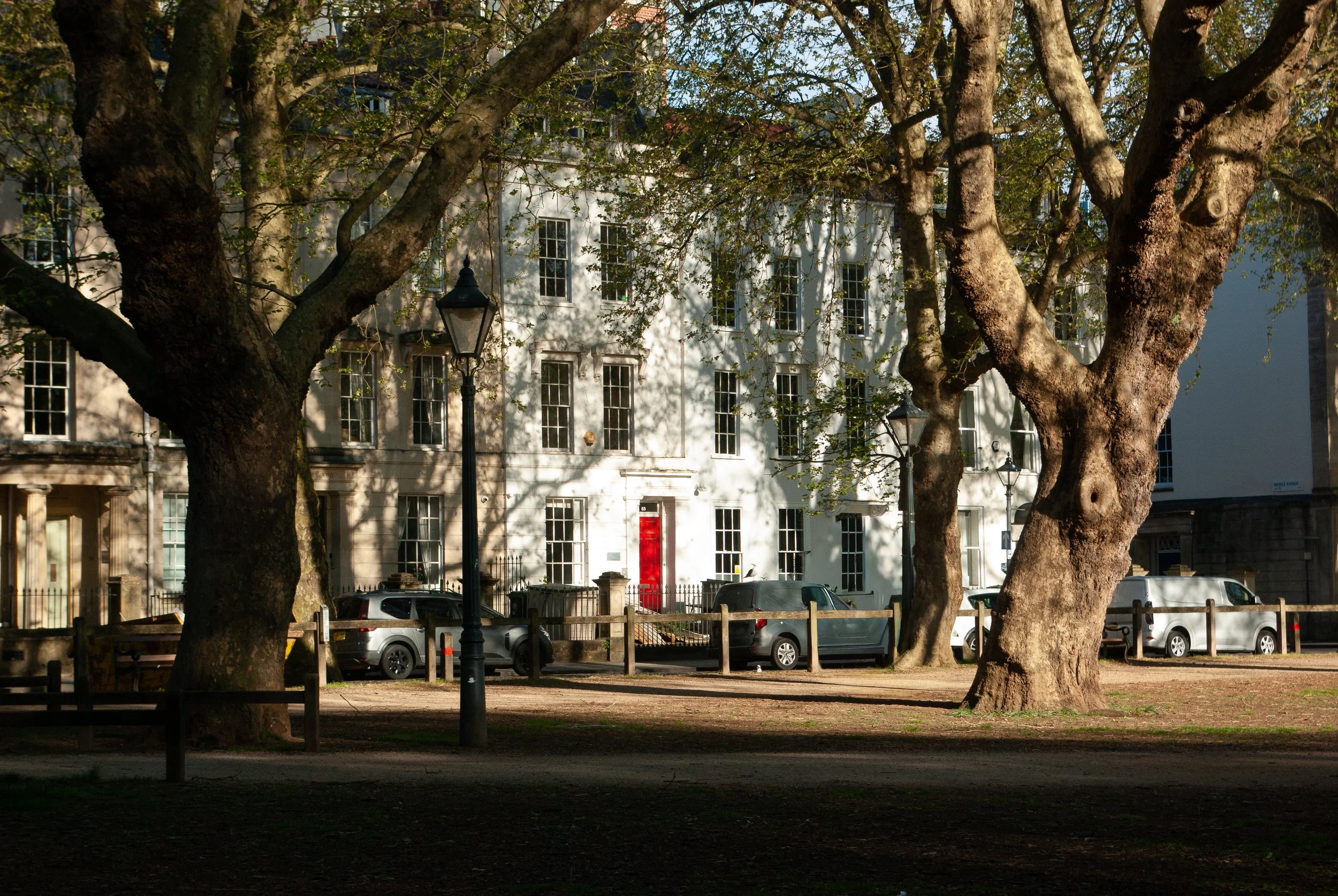 A white multi-story building with many windows and a red door is partially obscured by large trees with thick trunks. There are parked cars along the street in front of the building, and a black street lamp is also visible. The scene is shaded by the