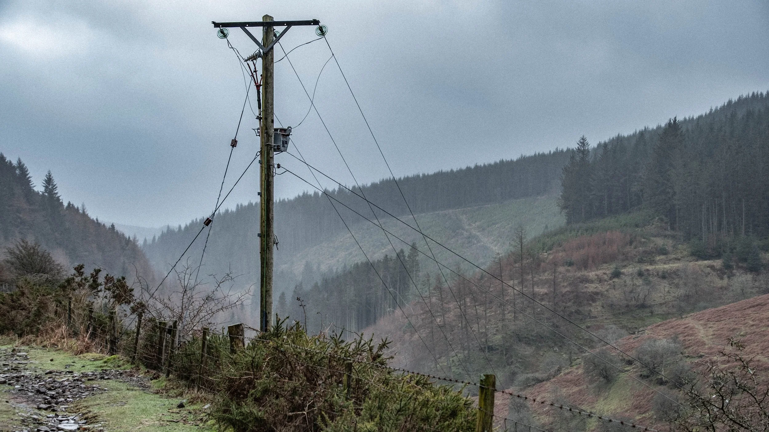 black and white-7.jpg