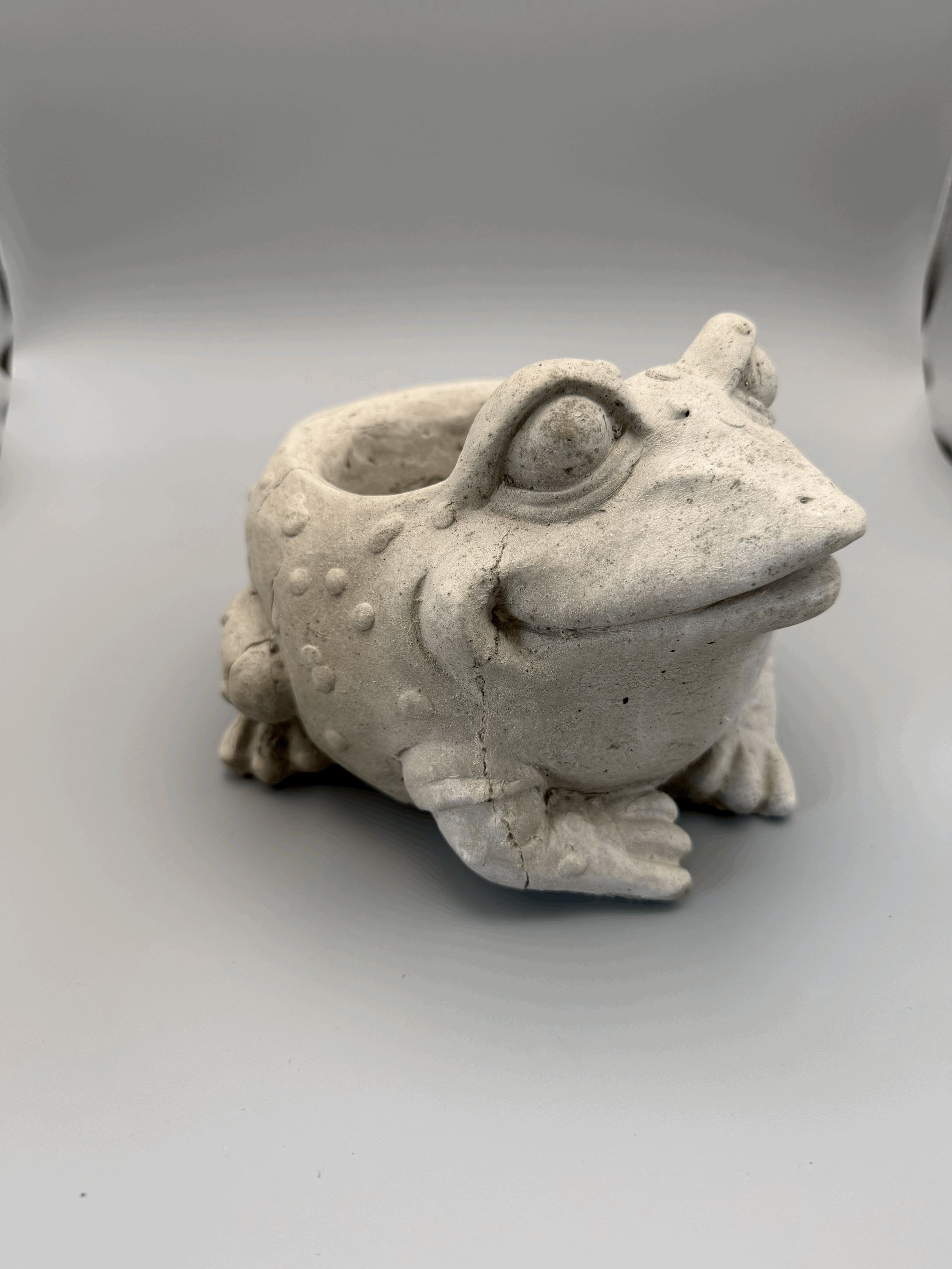 Frog Planter