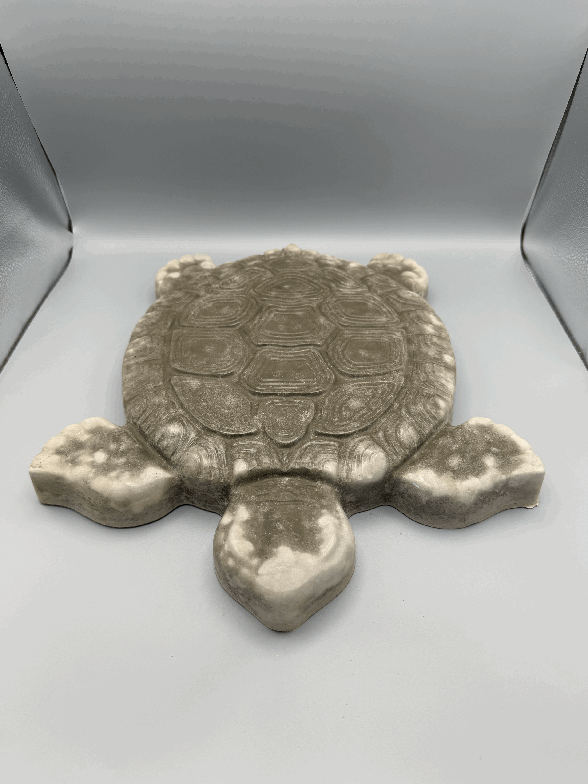 Turtle Stepping stones