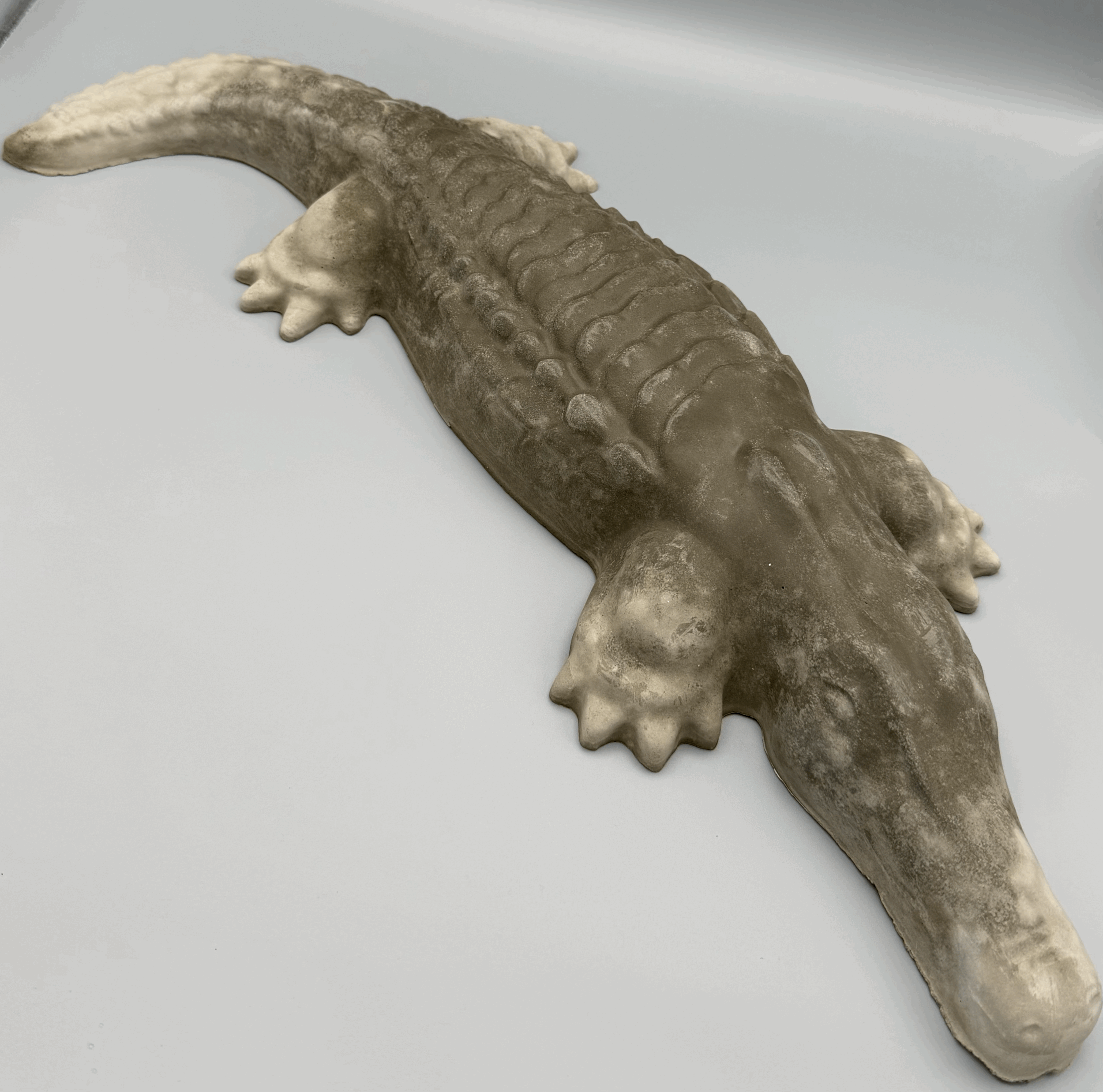 Alligator Small