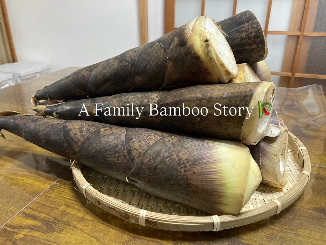 My family sent me bamboo shoots! 🎋

What&rsquo;s up peeps! Haruka from Gut Chef Japan here. 👋

As some of you know, I&rsquo;m originally from Tochigi, although I&rsquo;ve been all over the place since I was 18!

My family owns a bamboo forest and e