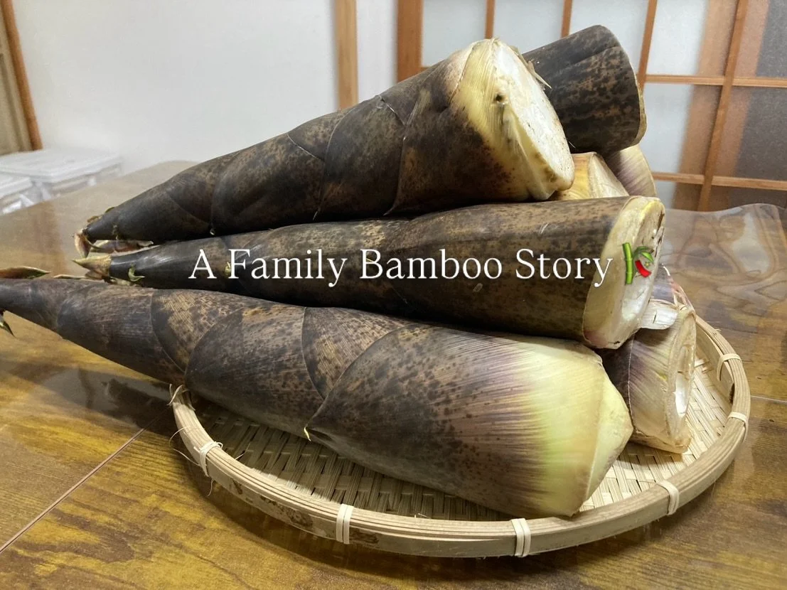 My family sent me bamboo shoots! 🎋

What&rsquo;s up peeps! Haruka from Gut Chef Japan here. 👋

As some of you know, I&rsquo;m originally from Tochigi, although I&rsquo;ve been all over the place since I was 18!

My family owns a bamboo forest and e