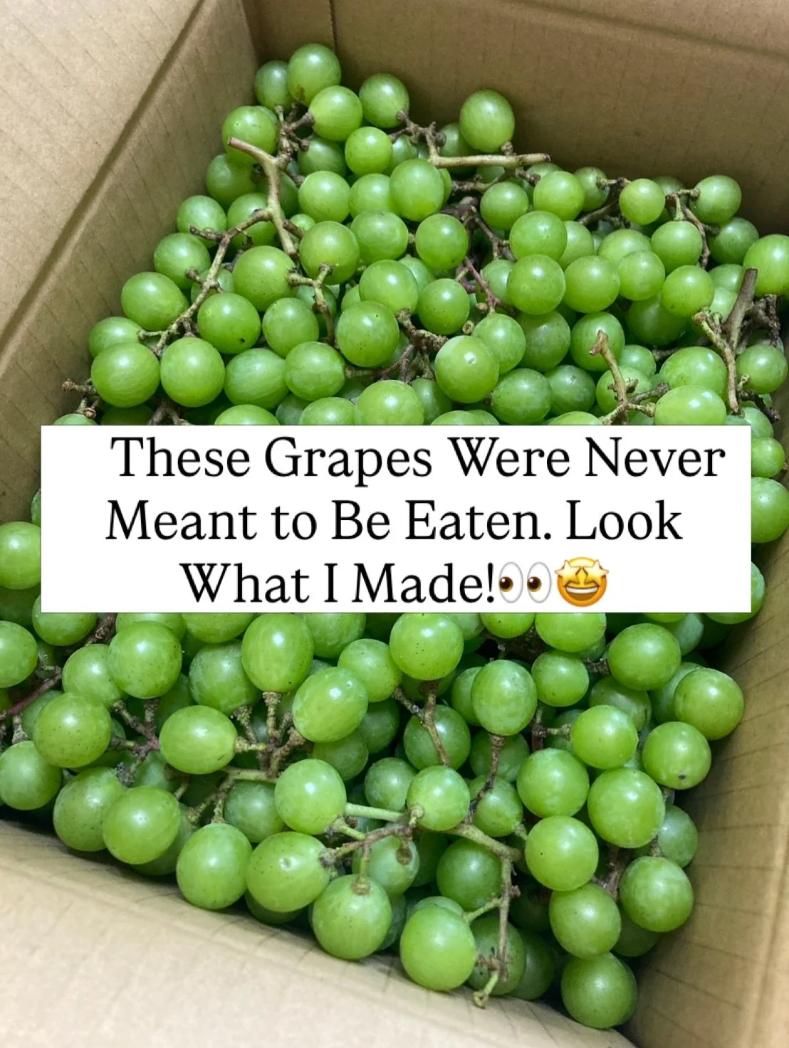 Did You Know You Can Buy Fruit Directly from Farmers on Mercari in Japan? 🍇

What&rsquo;s up, peeps! Haruka from Gut Chef Japan here!👋

I&rsquo;ve been experimenting with something new lately, and I wanted to share it with you. 🫶

Last week, I bou