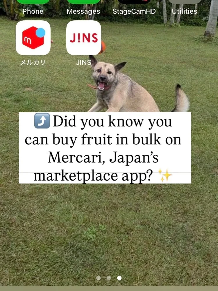 Do you live in Japan and feel like fruit is delicious but expensive? 🍑🍇🍓

Today I want to share one of my favorite money-saving hacks!

What&rsquo;s up, peeps! Haruka from Gut Chef Japan here! 👋

For years, I&rsquo;ve been using Mercari, Japan&rs