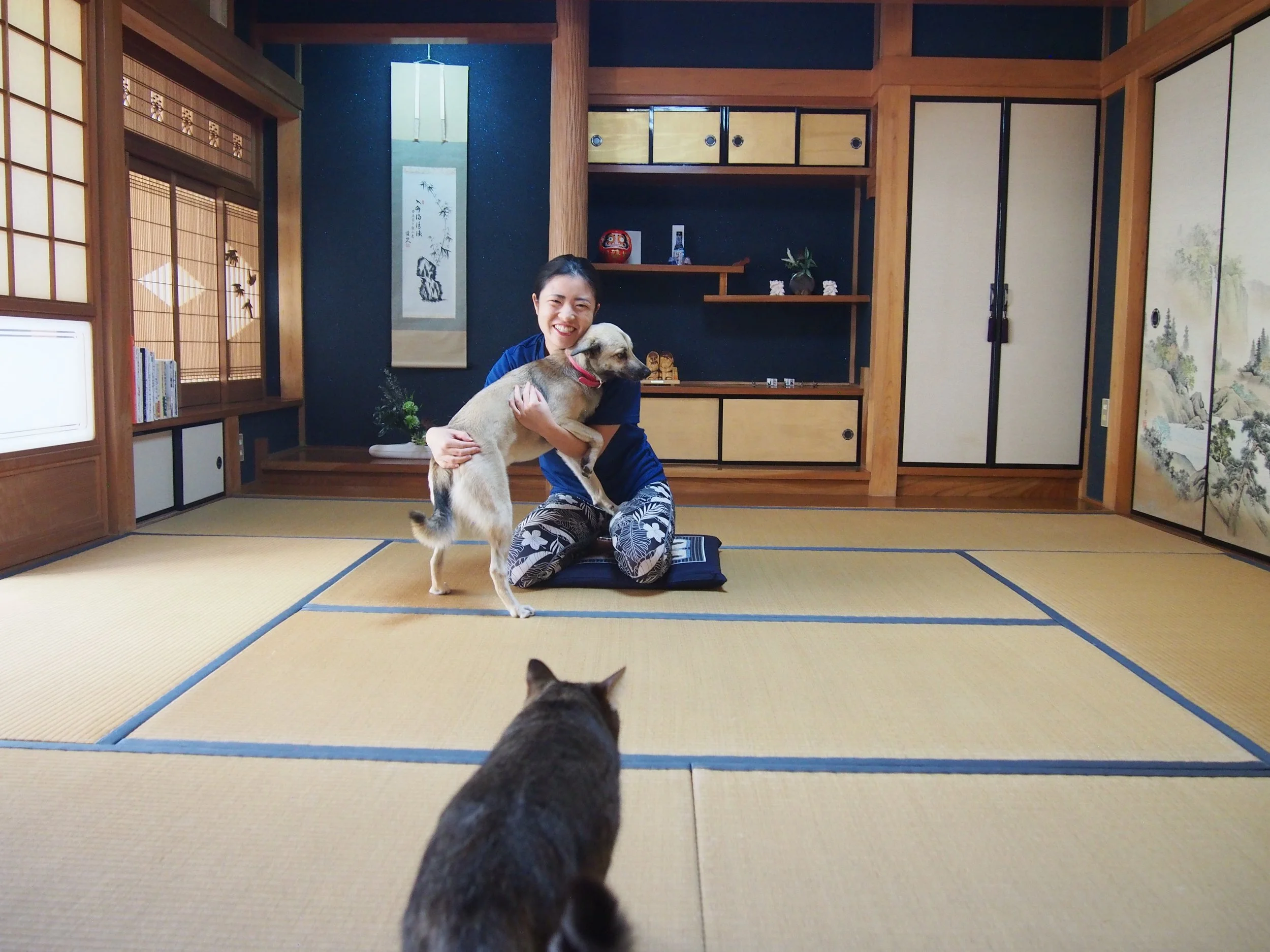 A woman in a blue shirt kneels on a traditional Japanese tatami mat floor, holding a tan dog with a red collar. Another dog, a gray tabby cat, is sitting in the foreground, facing the woman and the dog. The room features shoji sliding doors, wooden cabinetry, and decorative Japanese wall art.