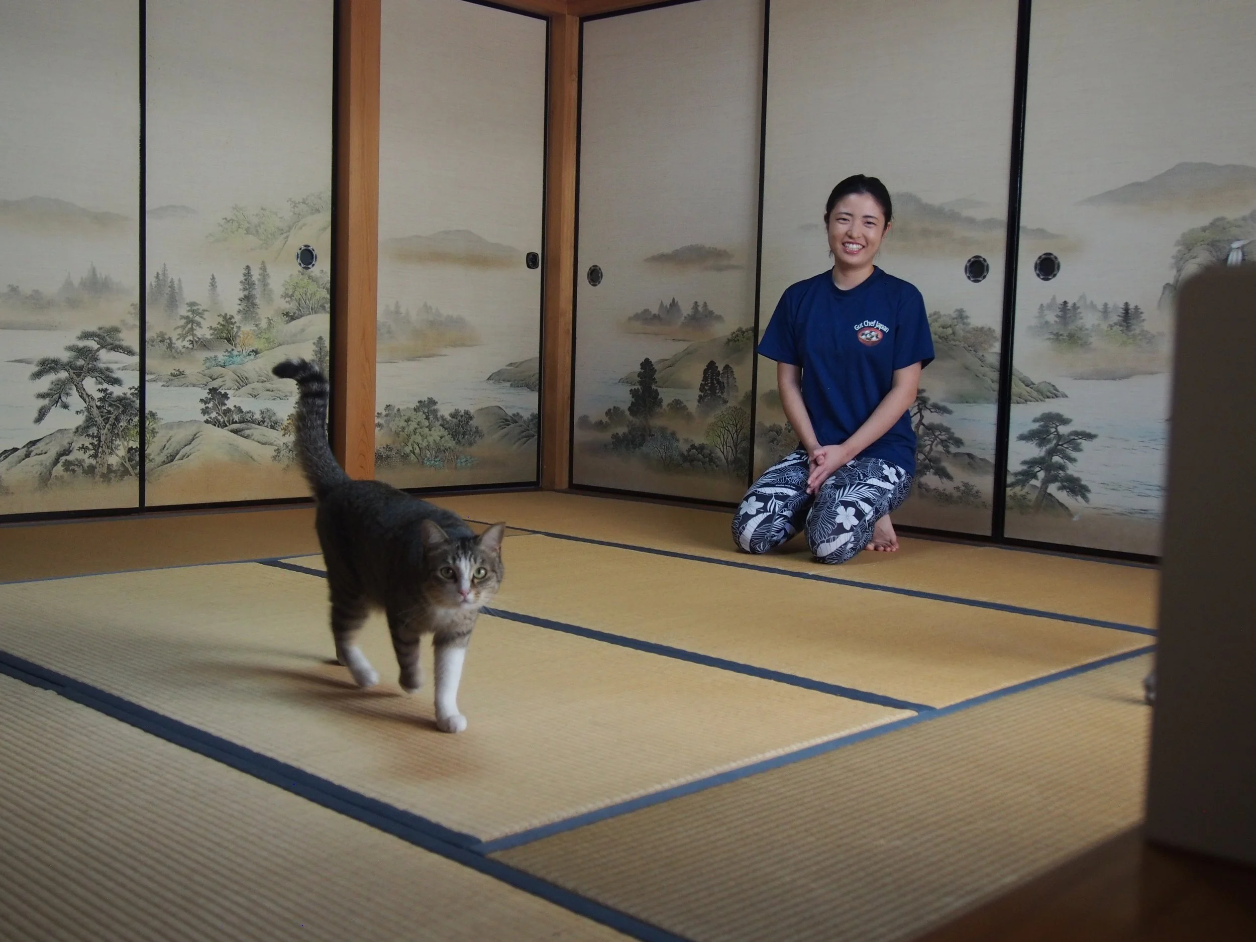 A young woman kneeling on a tatami mat floor in front of a traditional Japanese folding screen with landscape painting, smiling at the camera, with a tabby cat walking in the foreground.