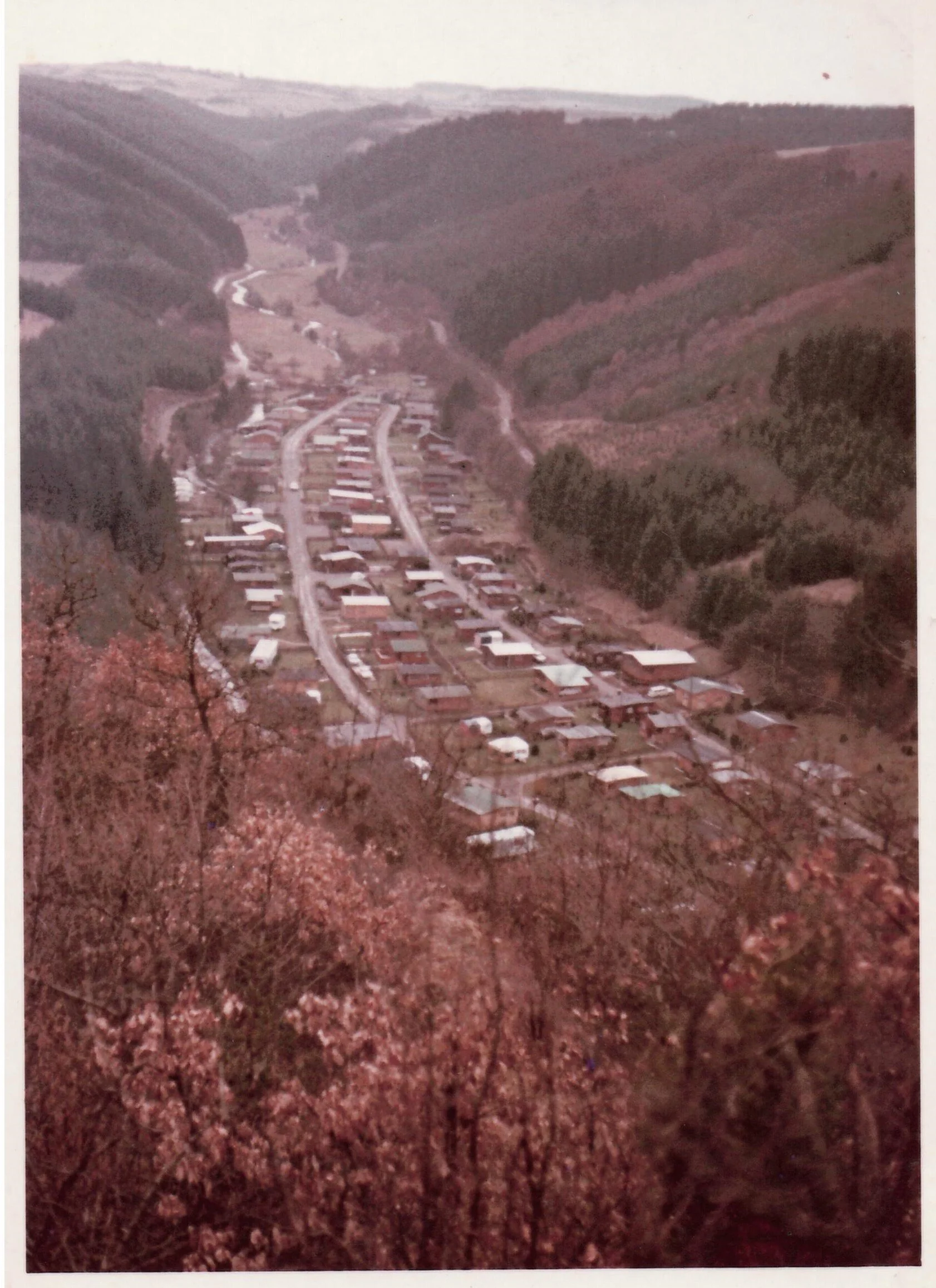 Ein Dorf in einer bergigen Region mit Häusern, Straße und umgebenden Wäldern.