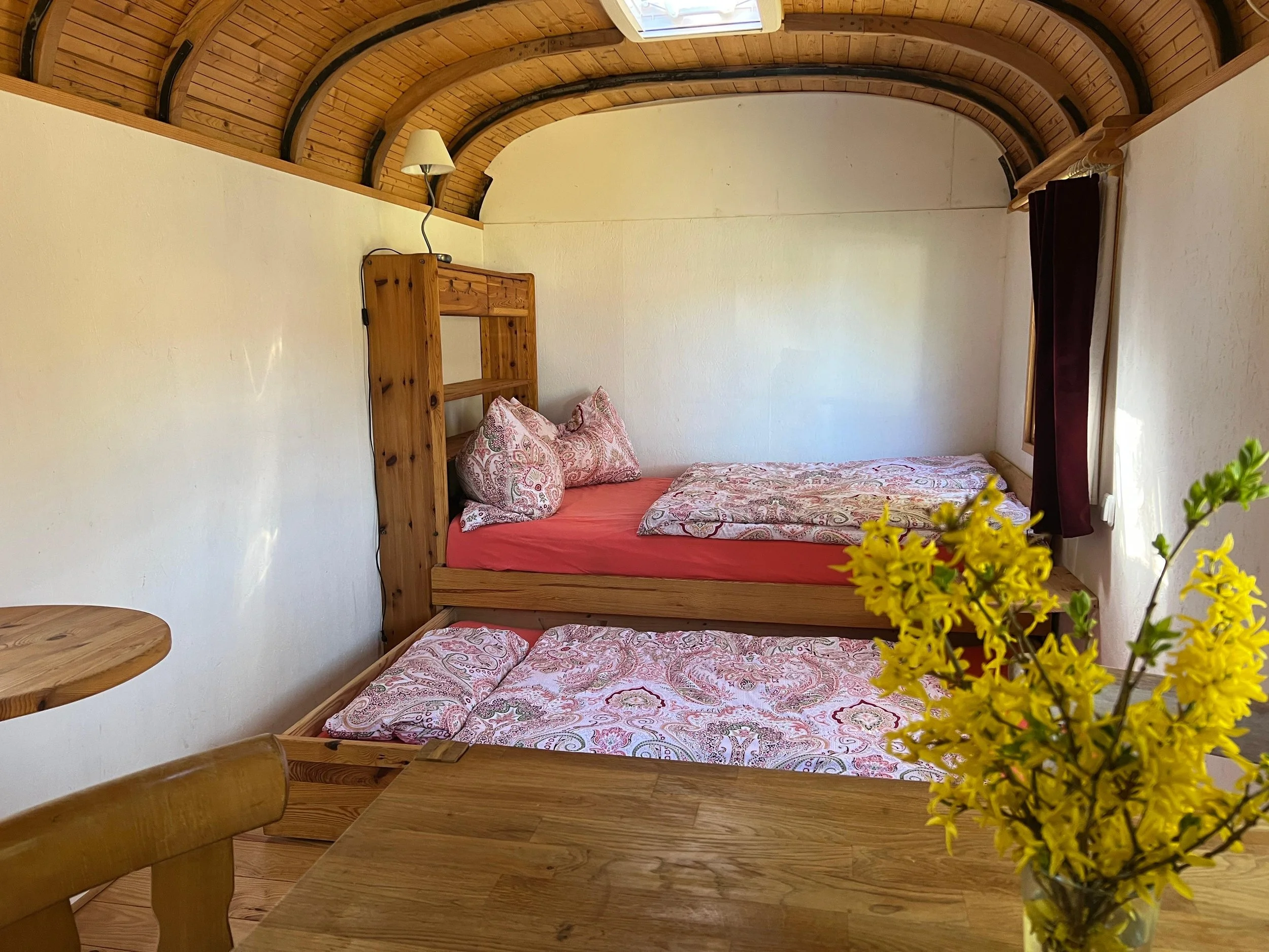 Zirkuswagen-Bett-Auszug