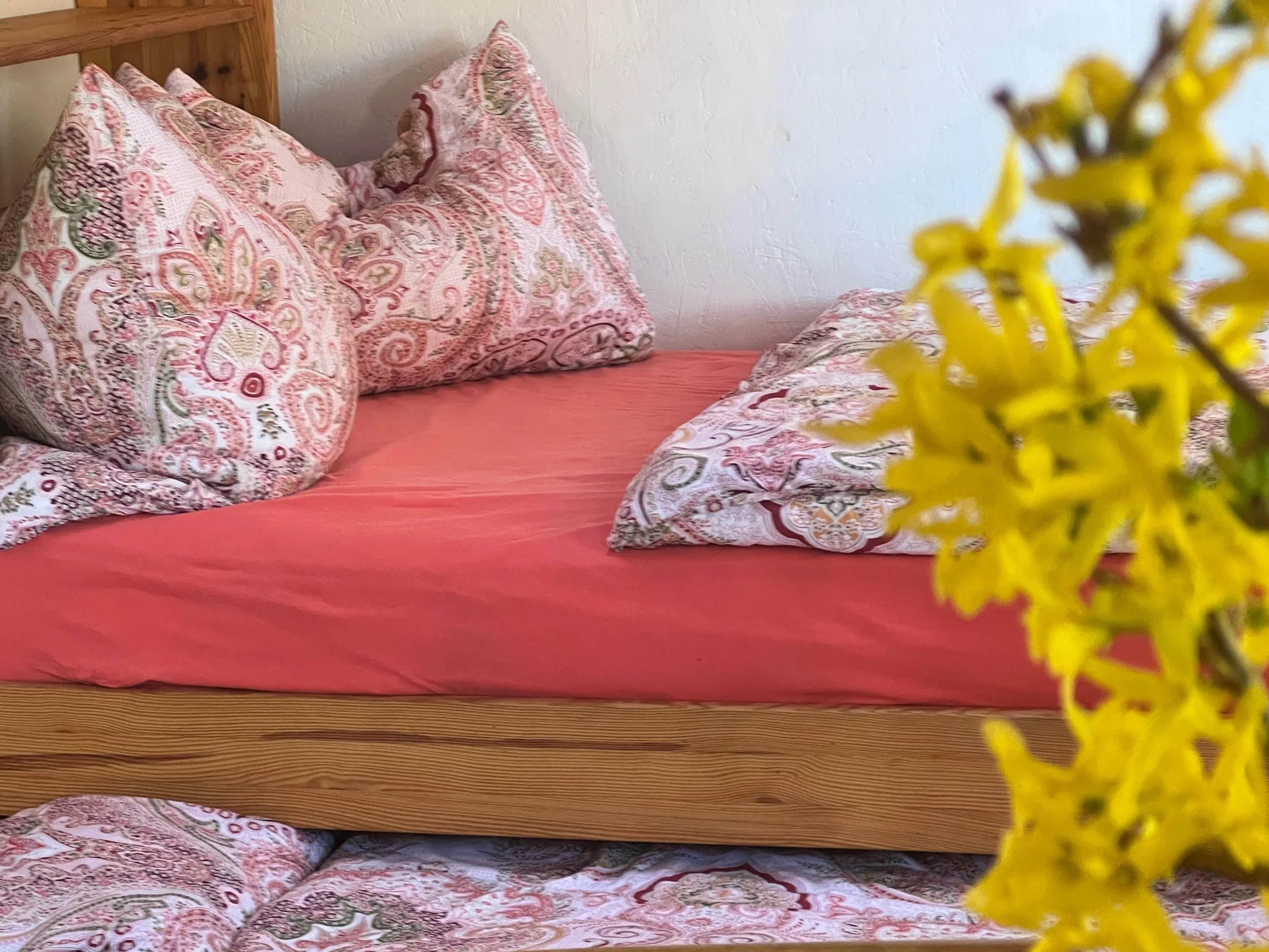 Zirkuswagen-Bett-1,20