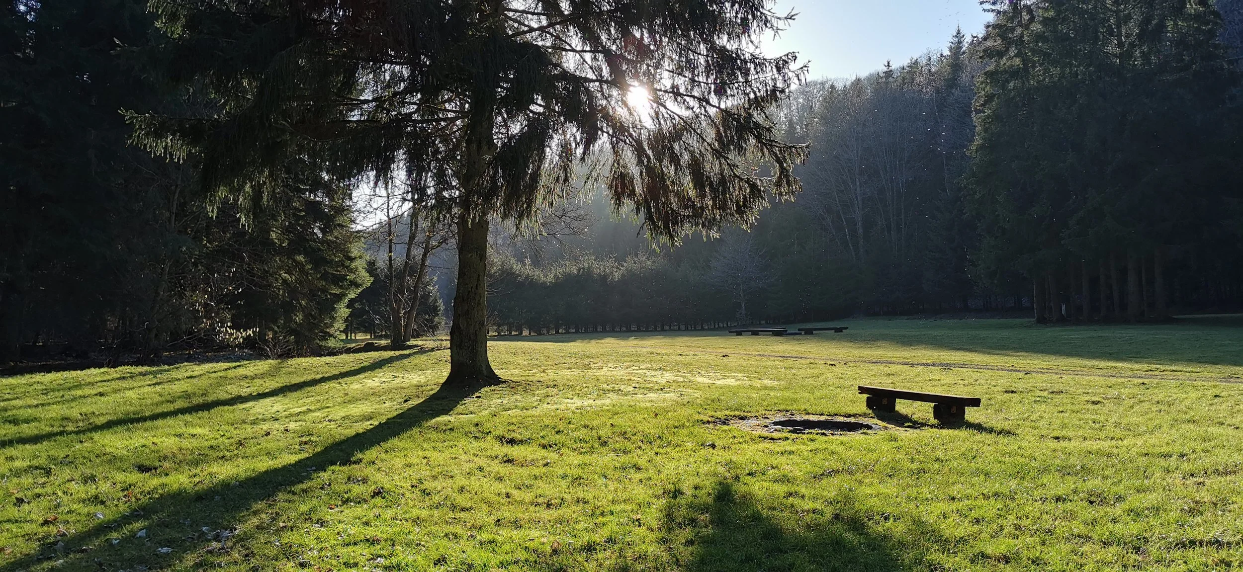 Blick nach Süden auf die Family Wiese