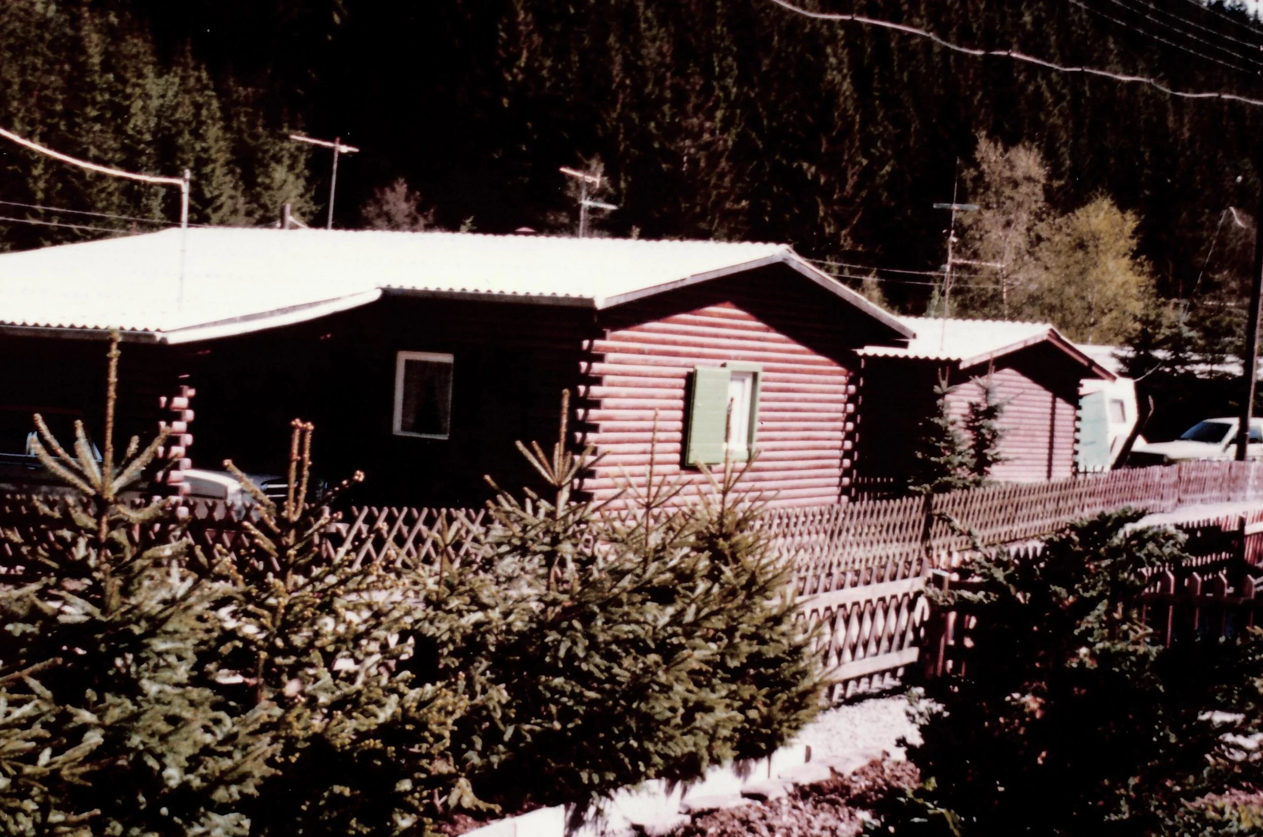 Holzhäuser mit weißen Dächern, umgeben von Tannengarten, in einer bewaldeten Umgebung, mit Stromleitungen im Hintergrund.