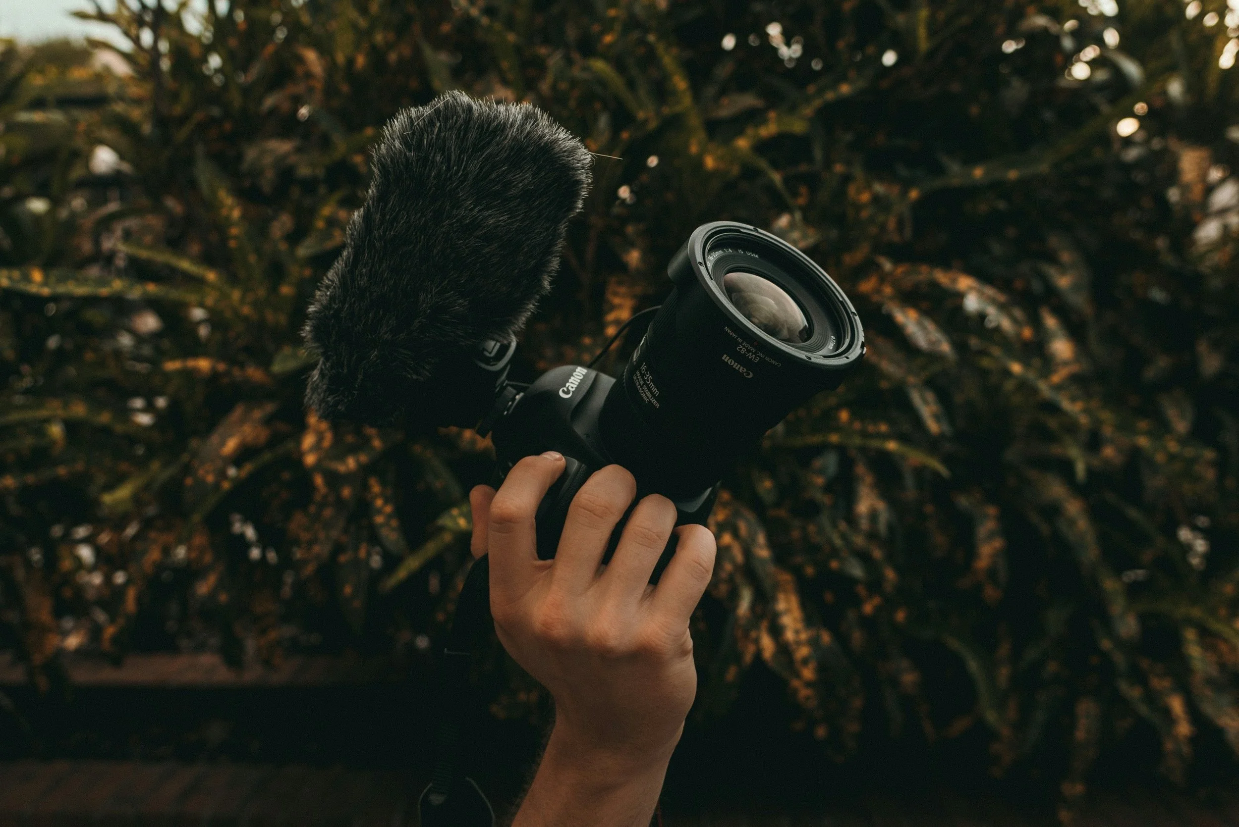 A person holding a professional camera with a microphone attached, outdoors against a leafy background.