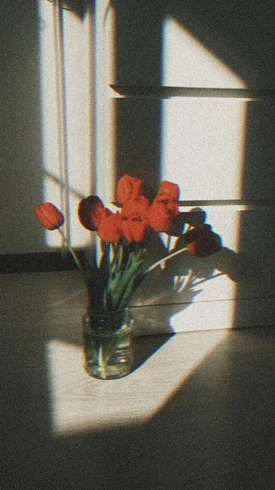 Brand strategy and creative direction for lifestyle and growing brands