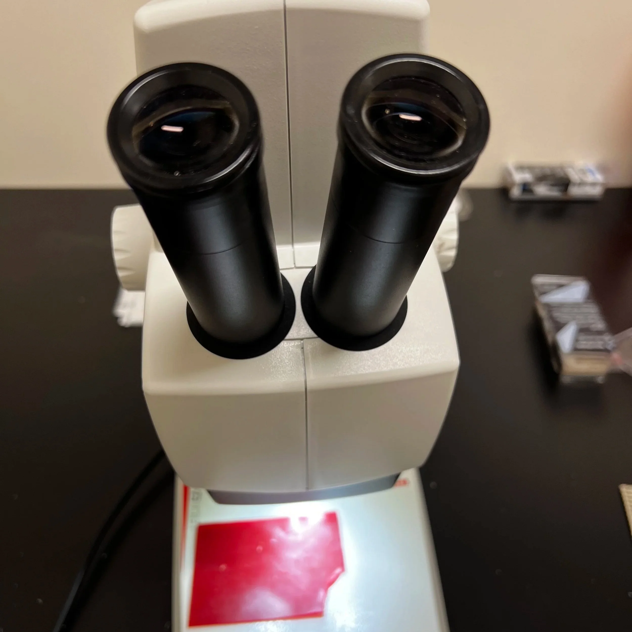 Who is the Cranberry Doctor?