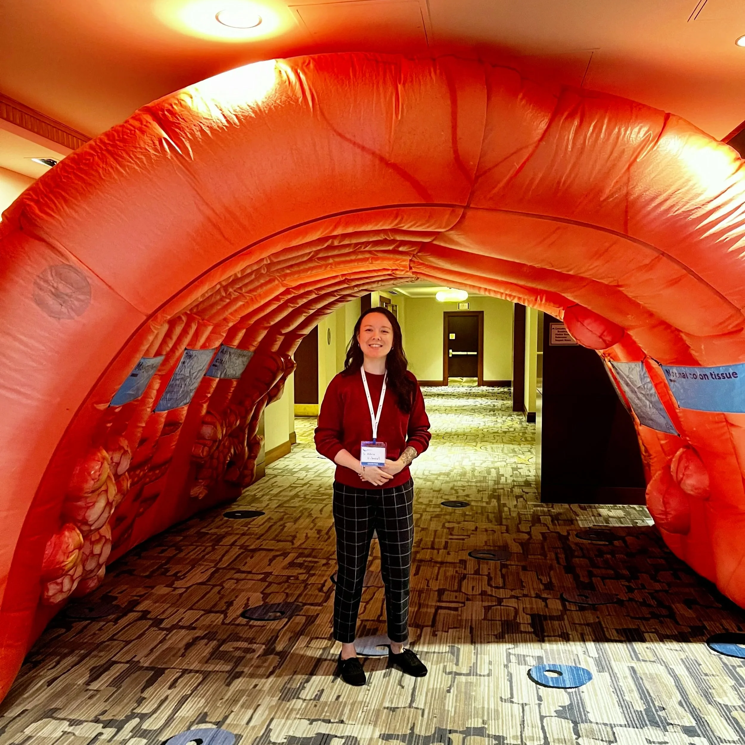 Women standing under an inflatable medical illustration of a human stomach in a hallway.
