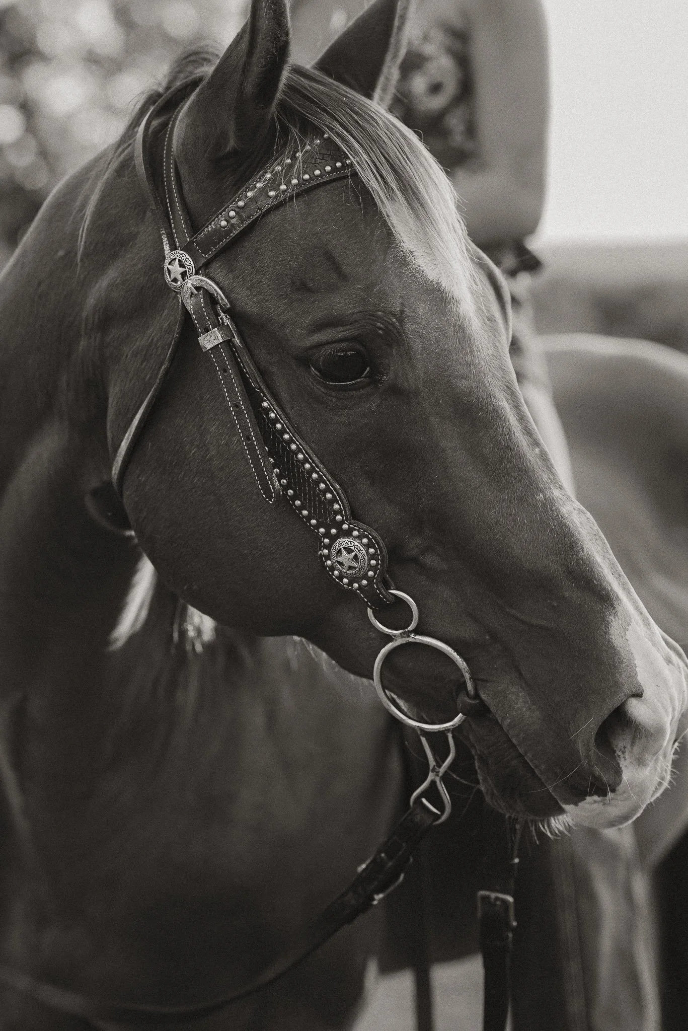 Haley (social)-50.jpg