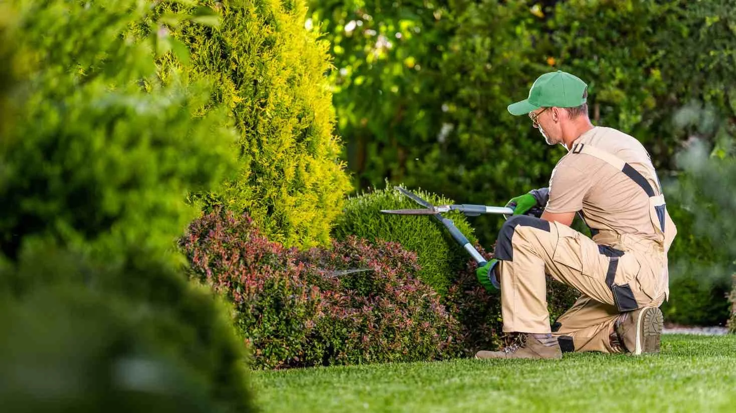 Exterior and grounds maintenance services for a commercial property
