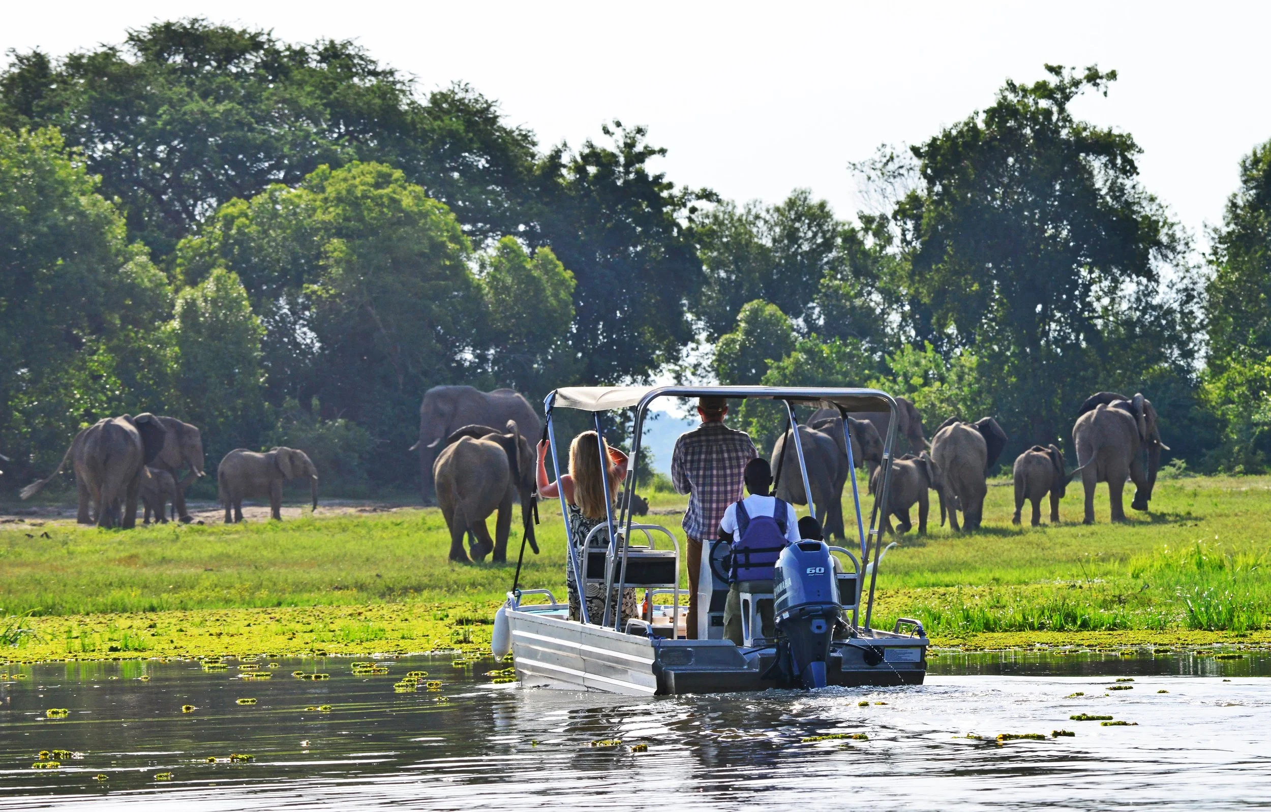 Nile River cruise in Murchison Falls