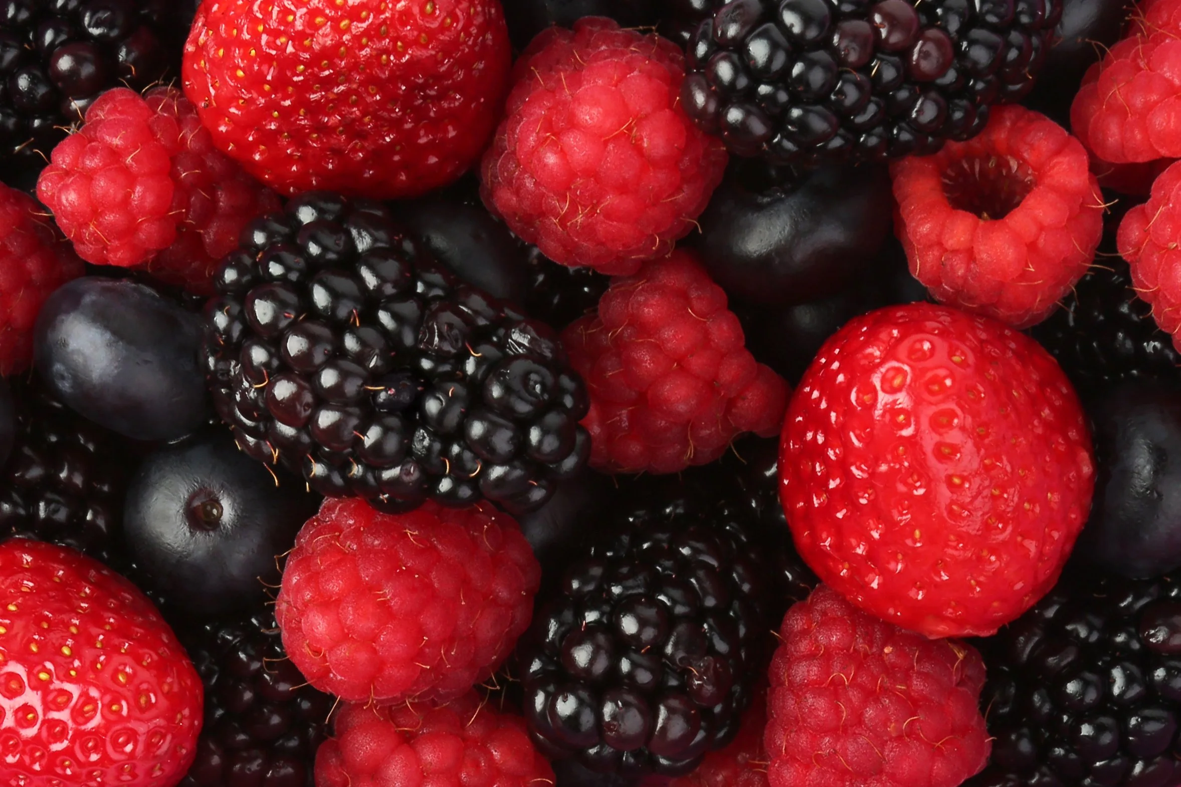 Close up of fresh mixed berries.
