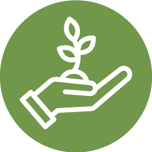 Illustration of a hand holding a small plant with leaves against a green background.