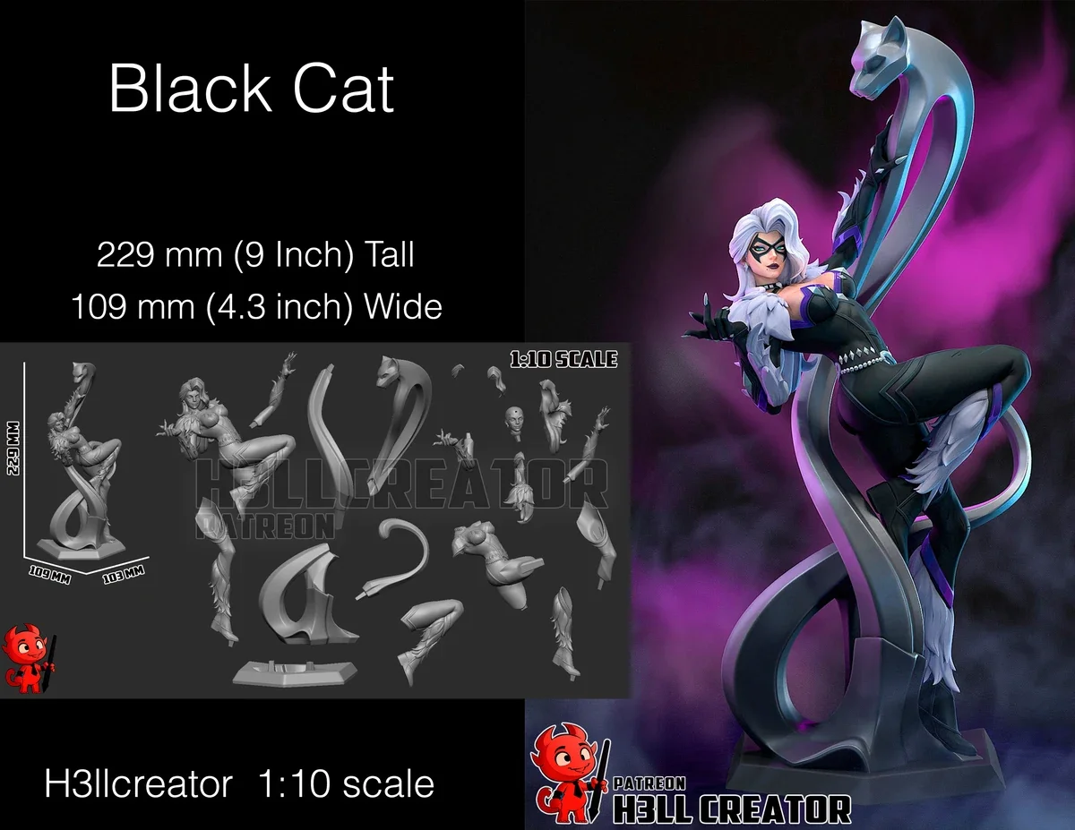 Hero Blackcat.webp