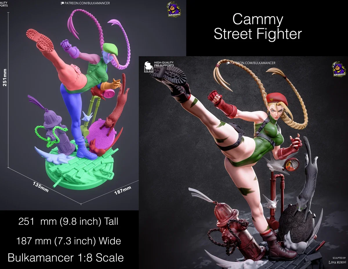 Street Fighter cammy.webp