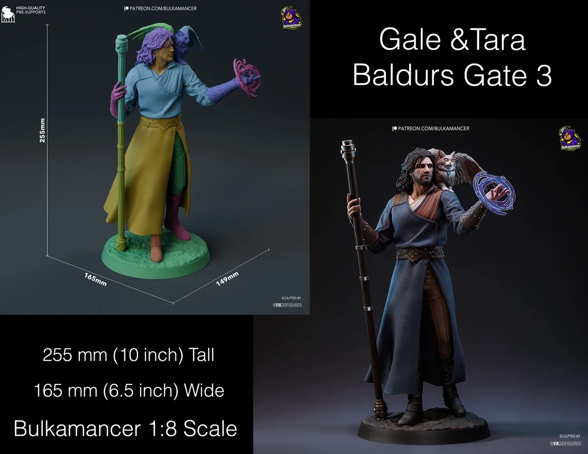 BG3 Gale.webp