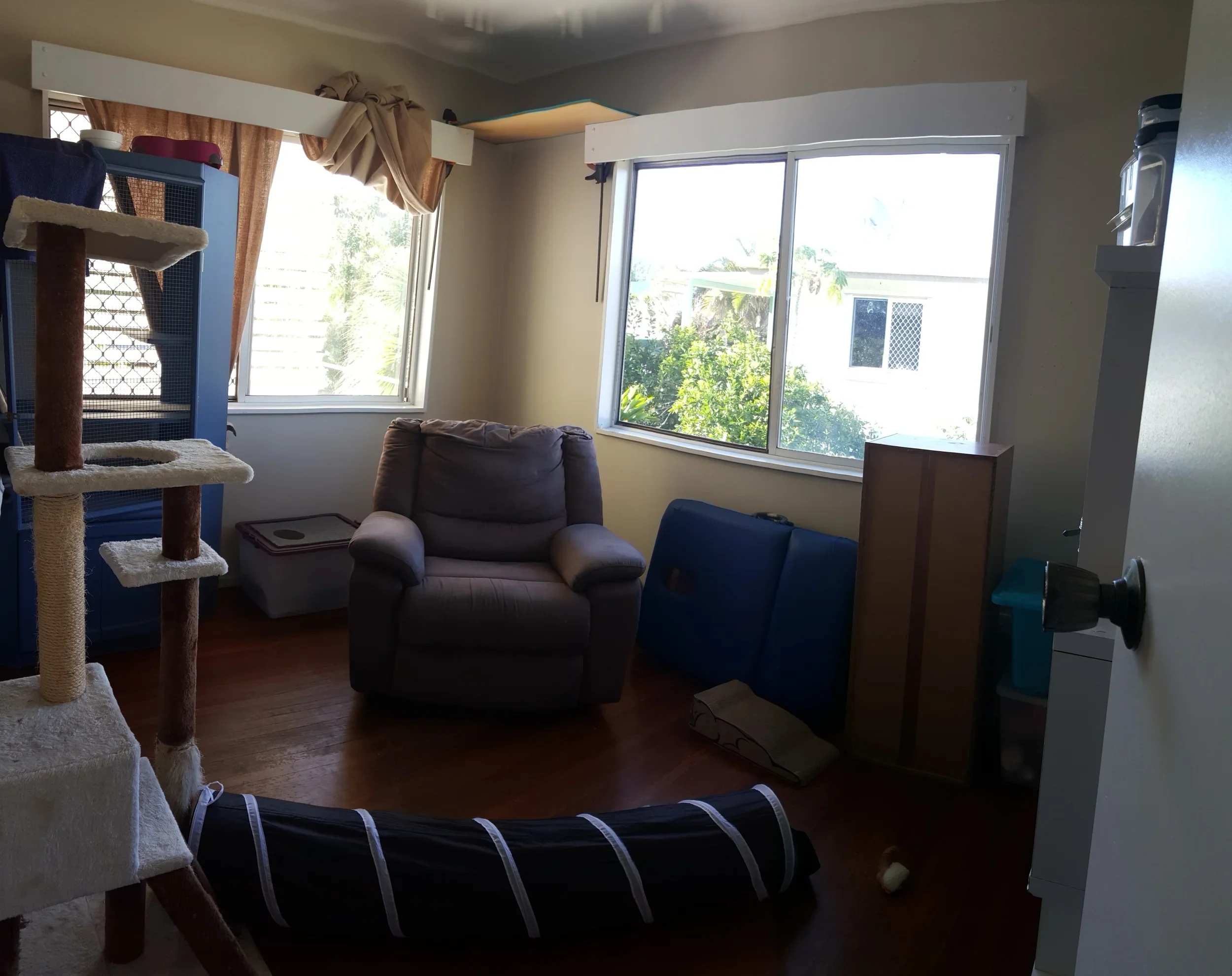 A cozy room with large windows letting in natural light, featuring a brown armchair, a blue cat tree, a black and white tunnel, and various storage containers and furniture.