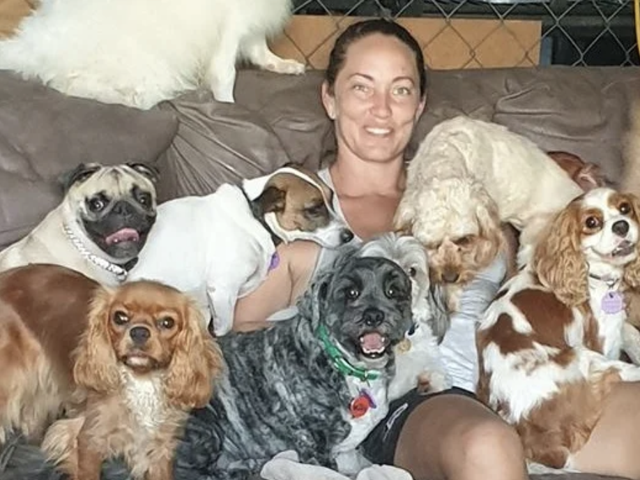 A woman sitting on a couch surrounded by seven dogs of various breeds and sizes, all indoors.
