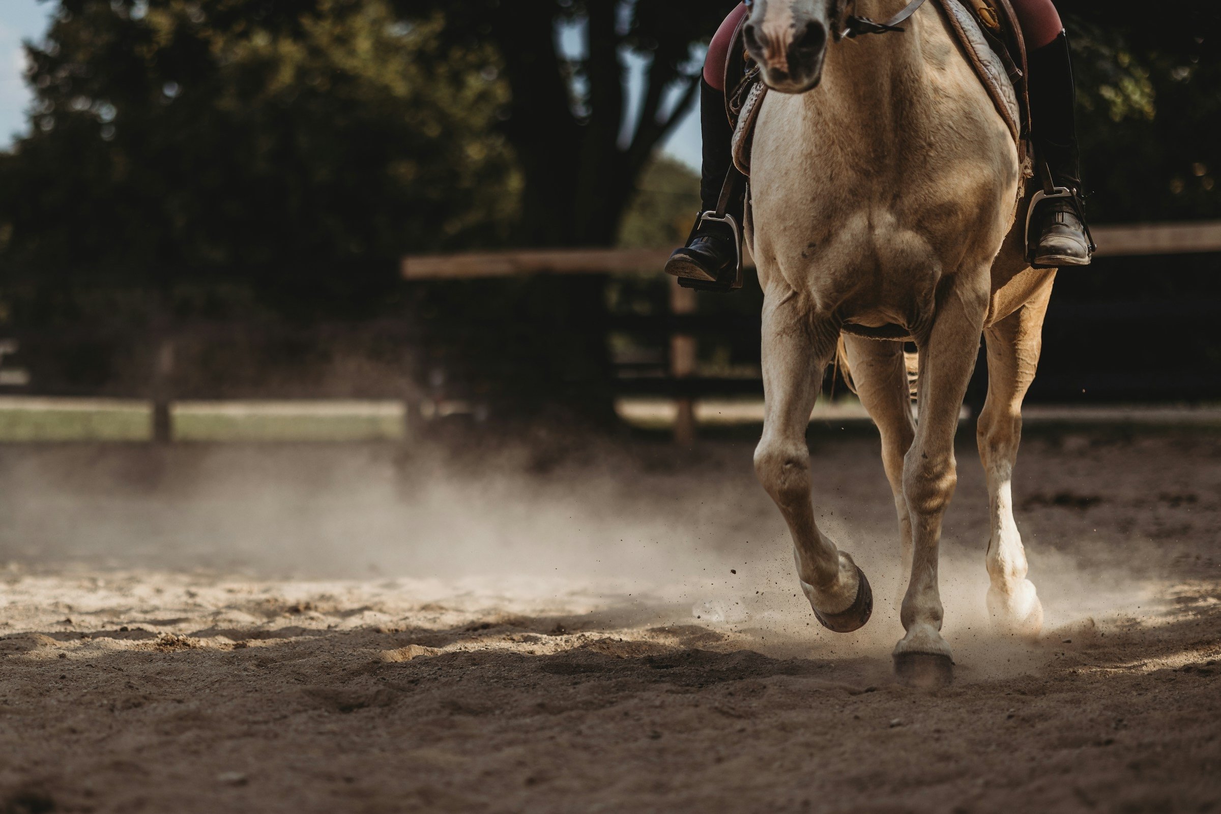 2024/2025 — A Year of Growth, Learning, and Community