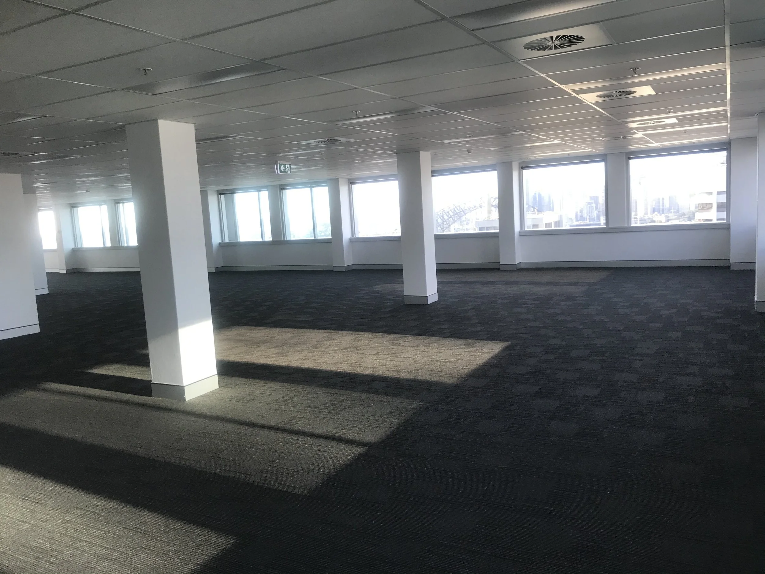 Photo 4-11-20, 7 22 54 am.jpg