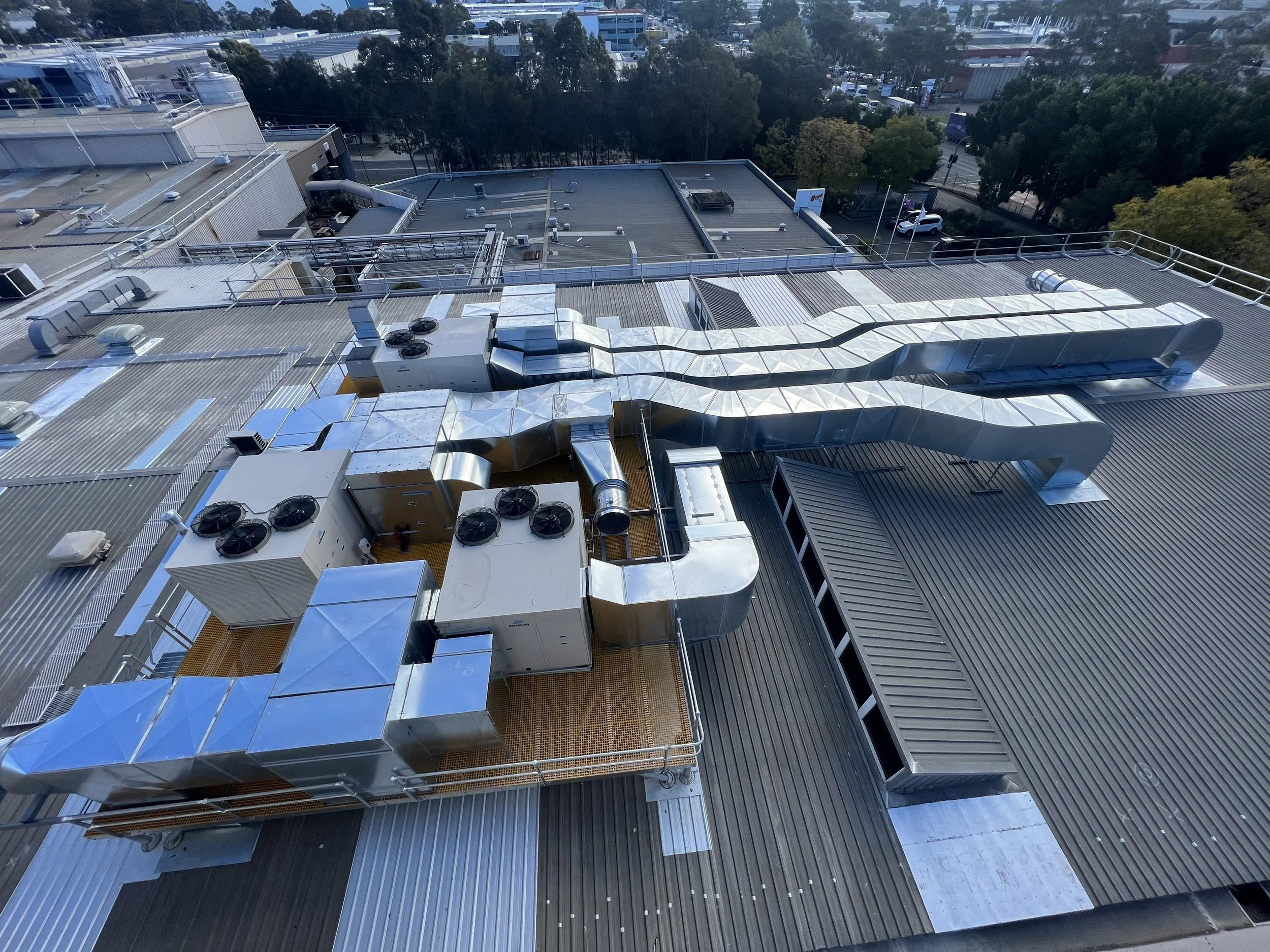 Photo 1-9-2023, 2 47 46 pm.jpg