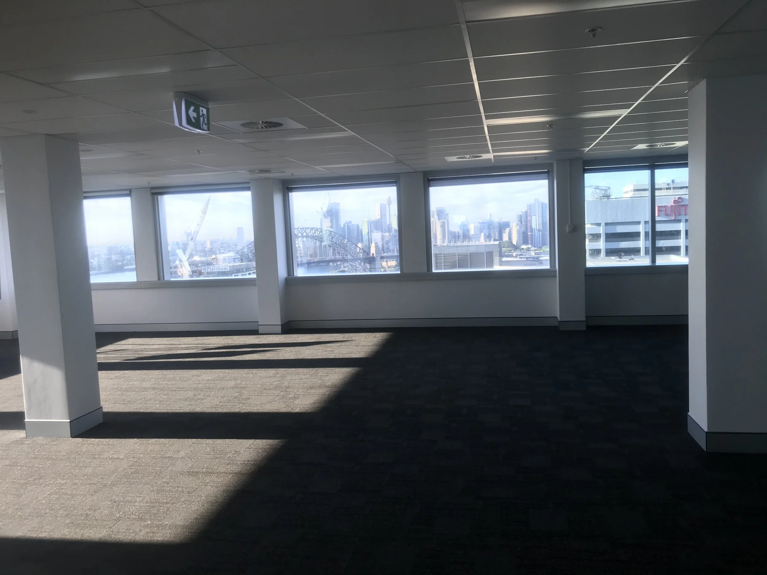 Photo 4-11-20, 7 23 26 am.jpg