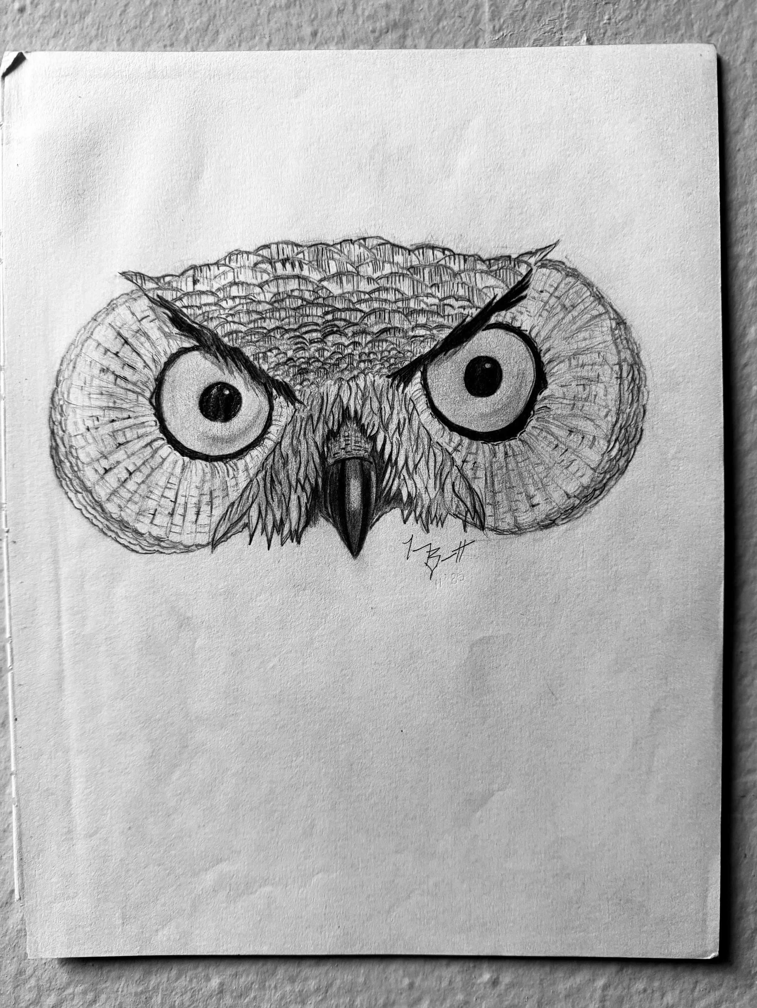 The Owl
