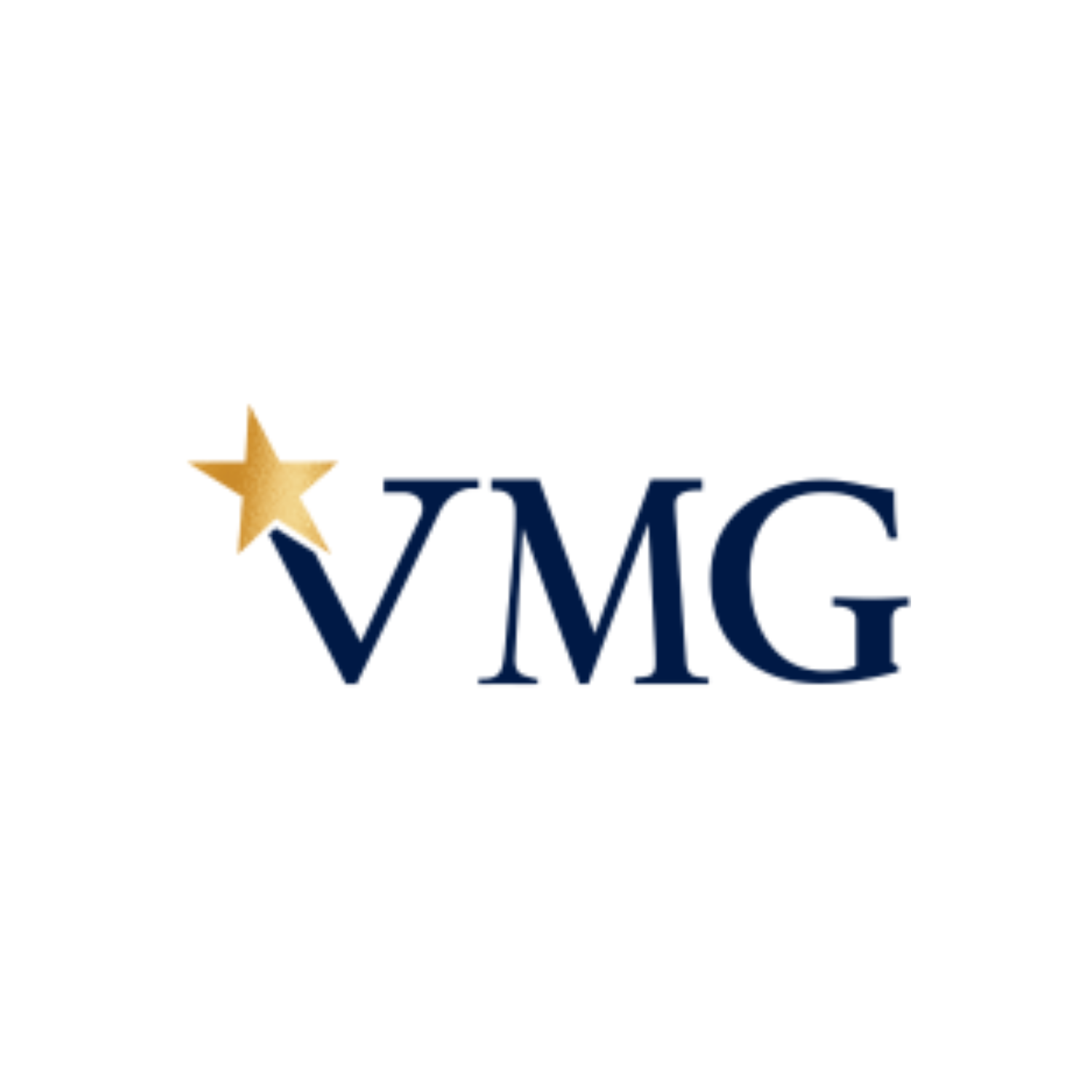 Logo of VMG with a gold star and blue text
