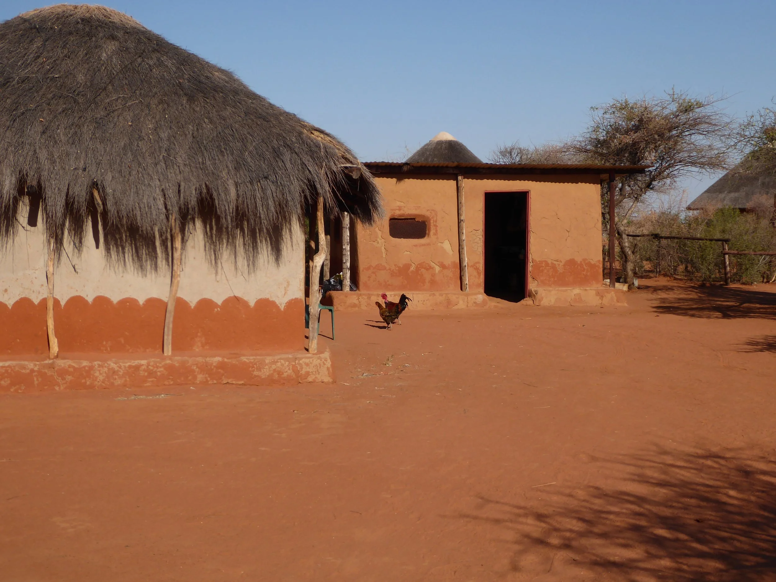 Traditional huts with thatched roofs and a chicken walking on the reddish dirt ground in a rural setting.