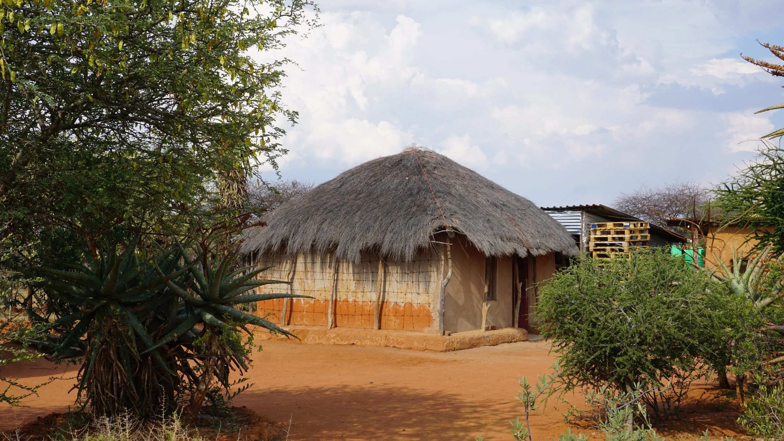 A traditional mud and thatch hut with a wooden door, surrounded by desert-like soil, aloe plants, and sparse trees, under a partly cloudy sky.