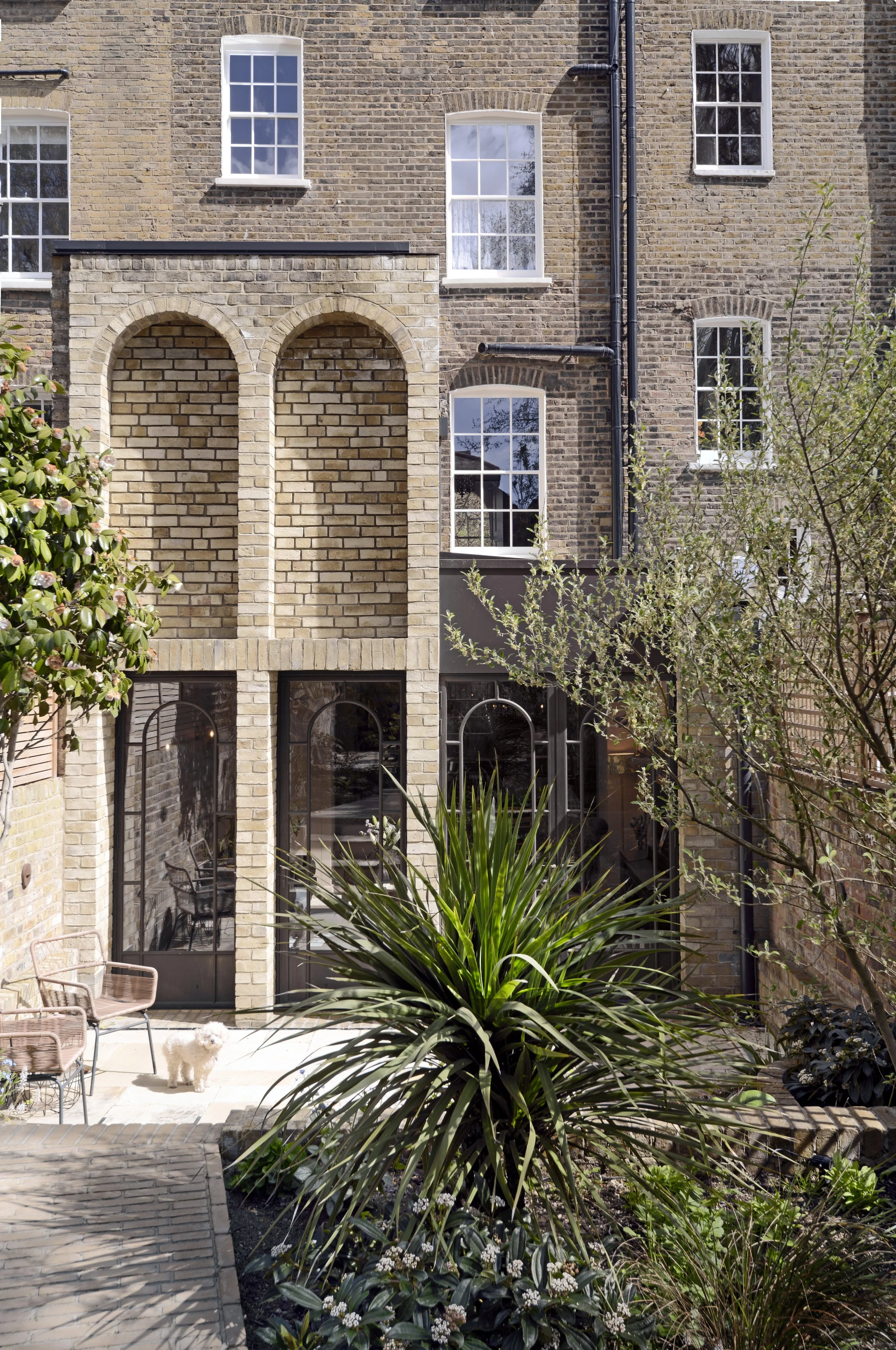 Backyard with brick townhouse, large plant, patio furniture, and dog.