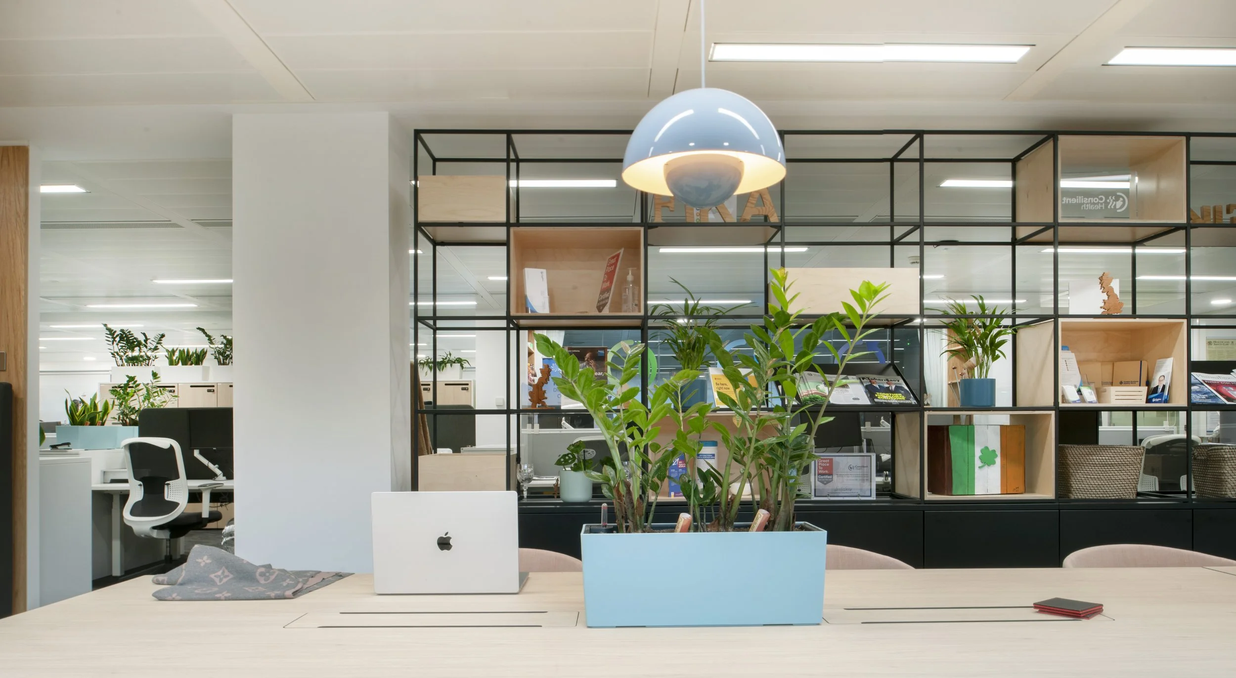 Office workspace with a plant and an Apple MacBook on a light wood table, partitioned by a metal and wood shelving unit, with workstations and plants in the background.