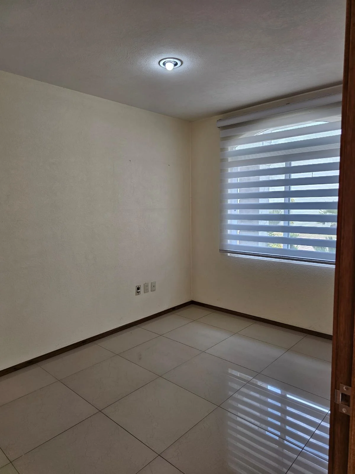 WhatsApp Image 2024-10-14 at 12.25.45 PM.jpeg