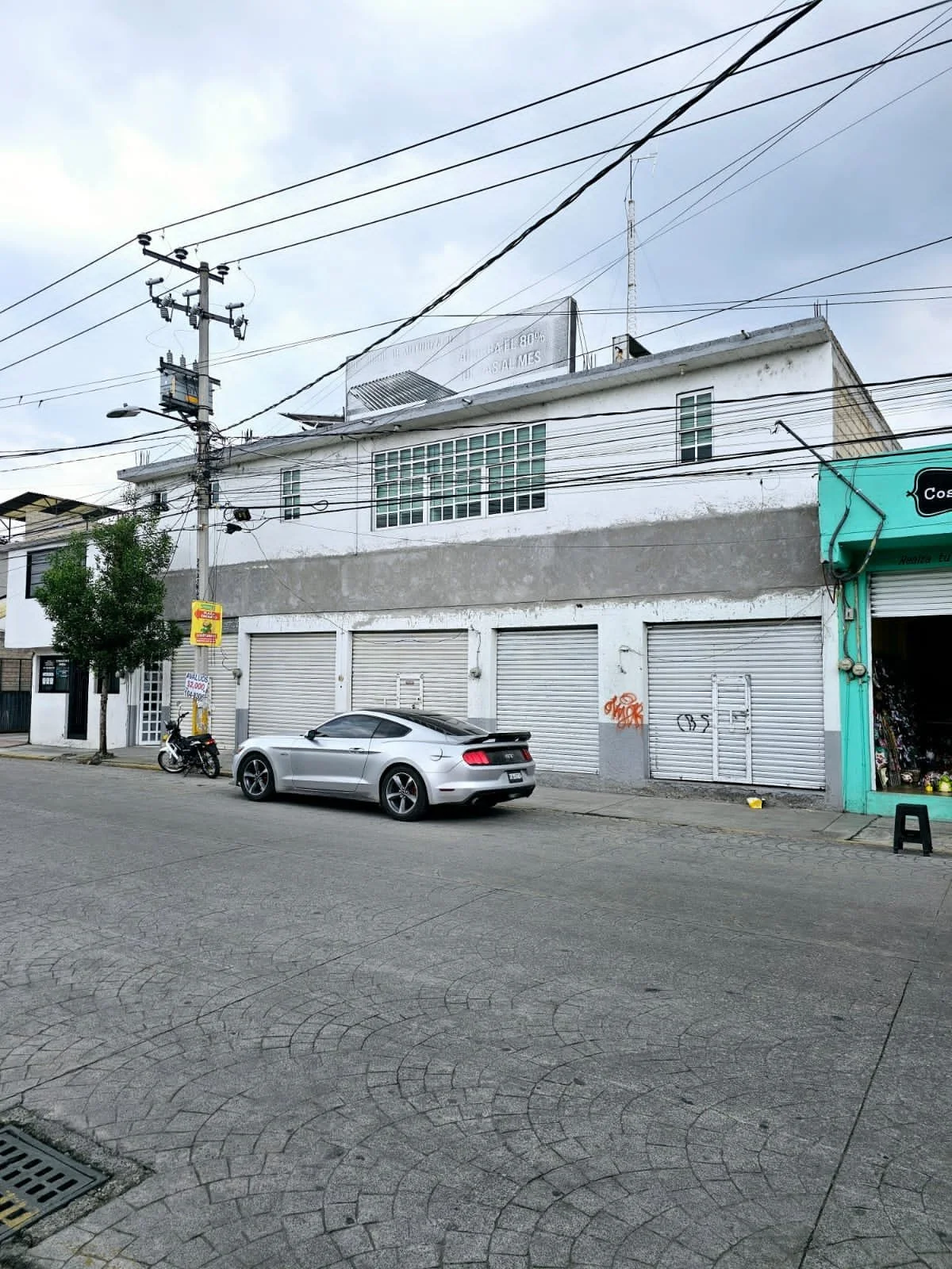 WhatsApp Image 2024-10-13 at 1.18.09 PM.jpeg