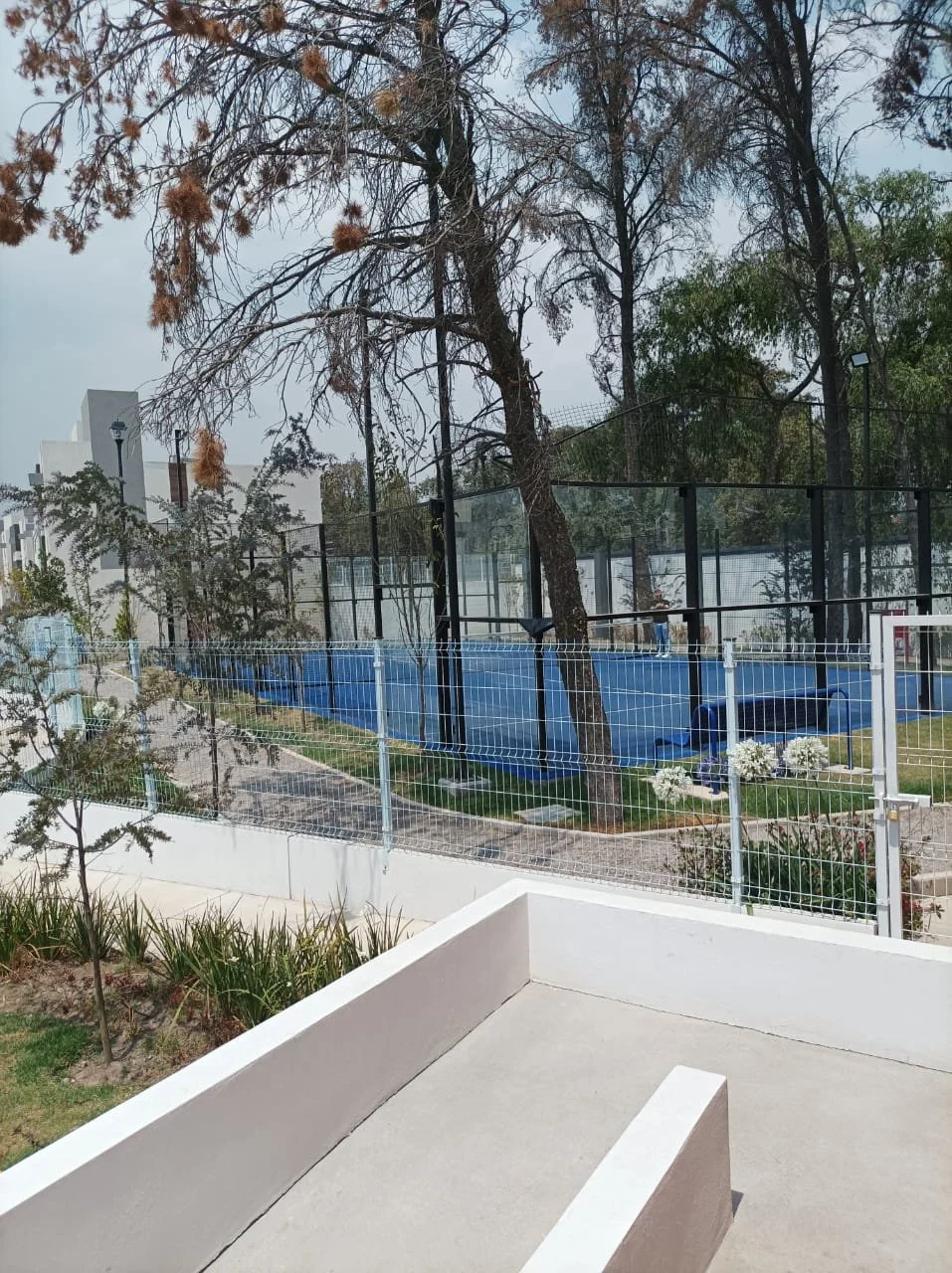 WhatsApp Image 2024-05-19 at 10.22.10 PM.jpeg