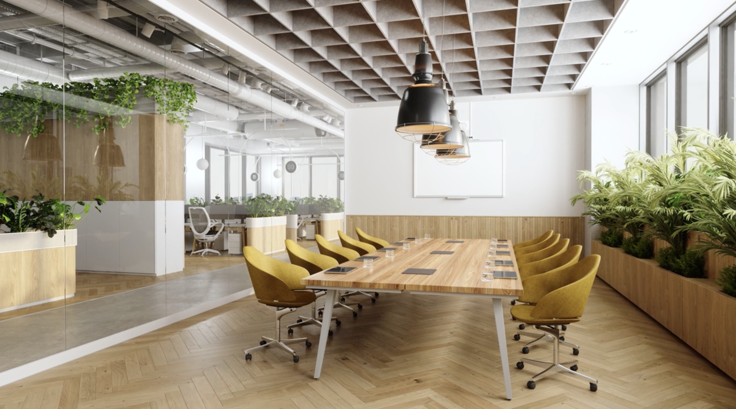 Rooted Collective home page.png