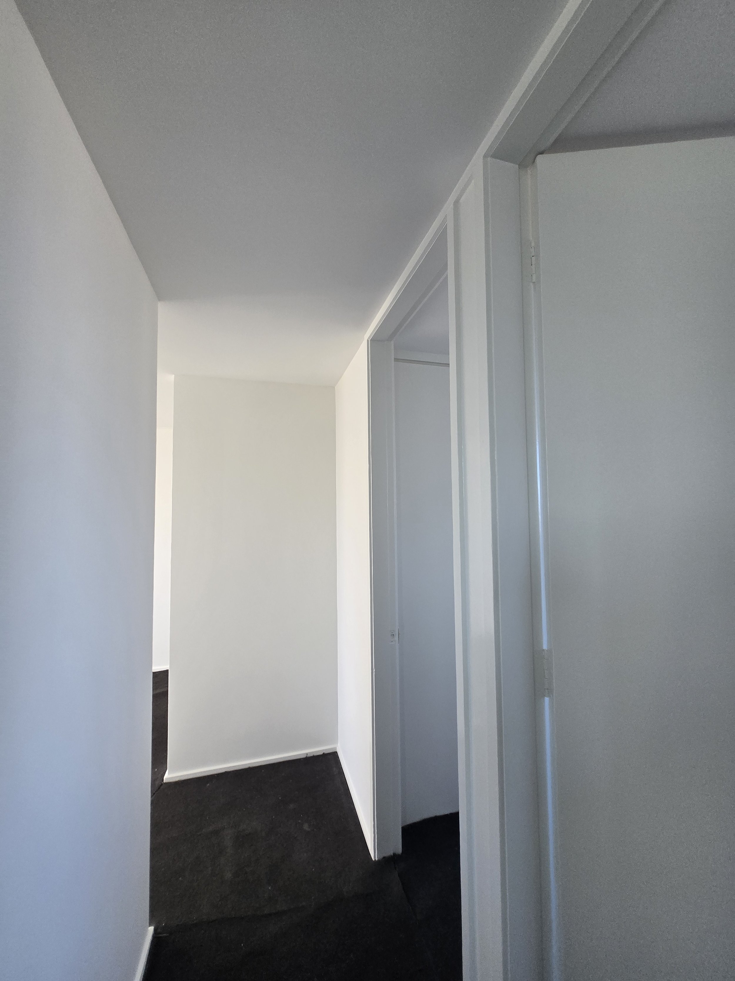 she paints apartment repaint