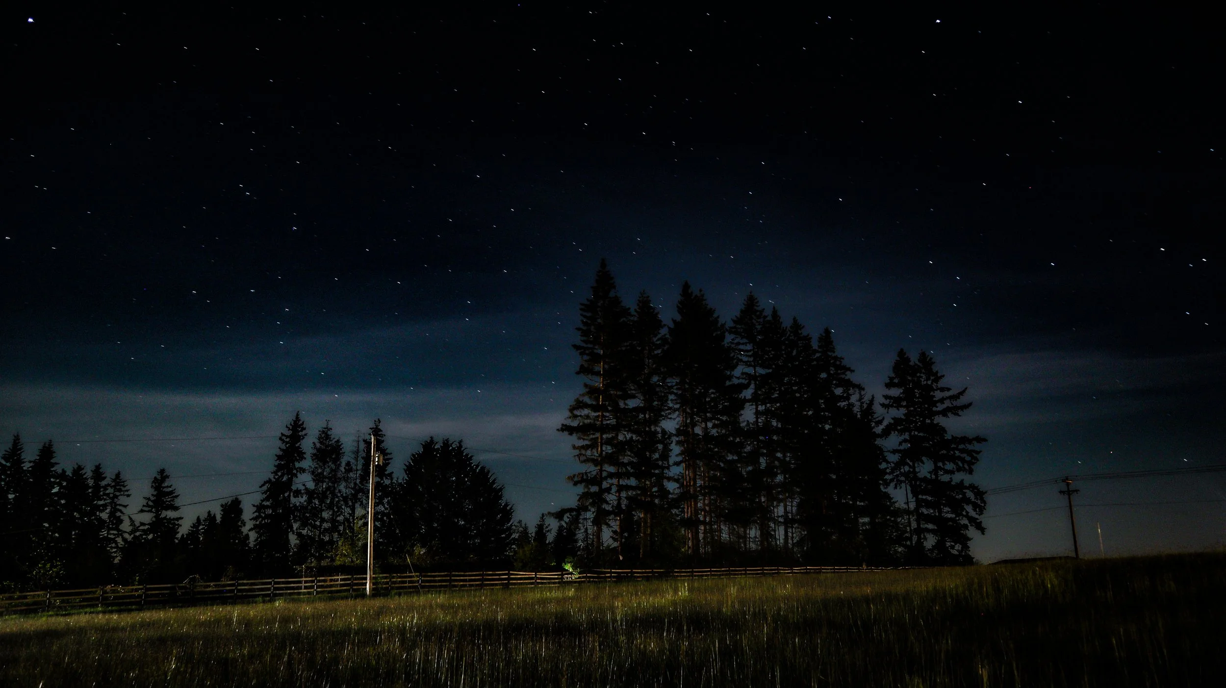 Night sky with stars over a silhouette of tall pine trees, a field, and utility poles.