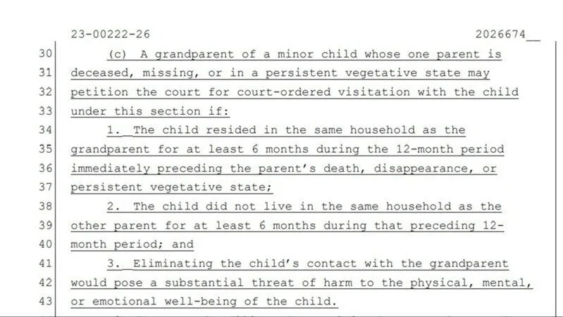 A portion of legal text or document discussing court petitions for guardianship of a minor child when a parent is deceased, missing, or in a persistent vegetative state.