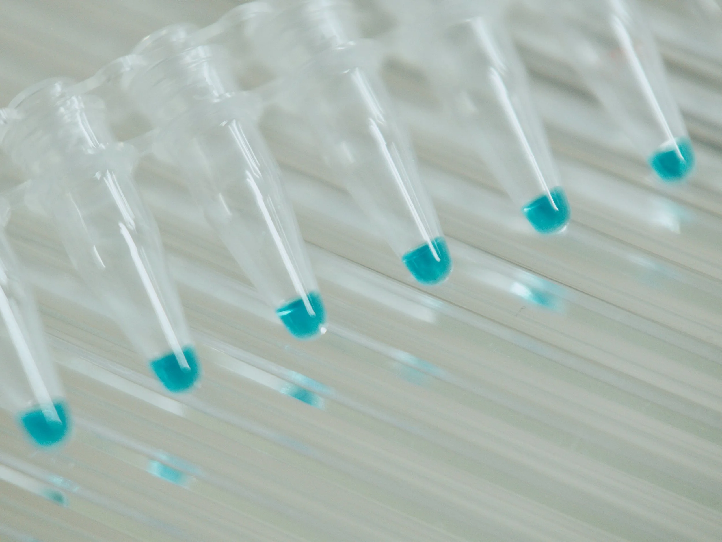 Close-up of test tubes filled with blue liquid, arranged in a rack.