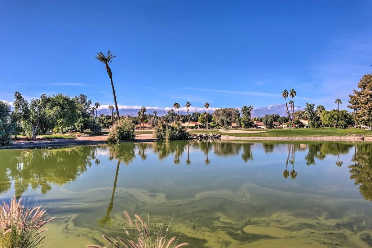 A scenic view of a pond reflecting trees, including tall palm trees, with houses and mountains in the background under a clear blue sky.