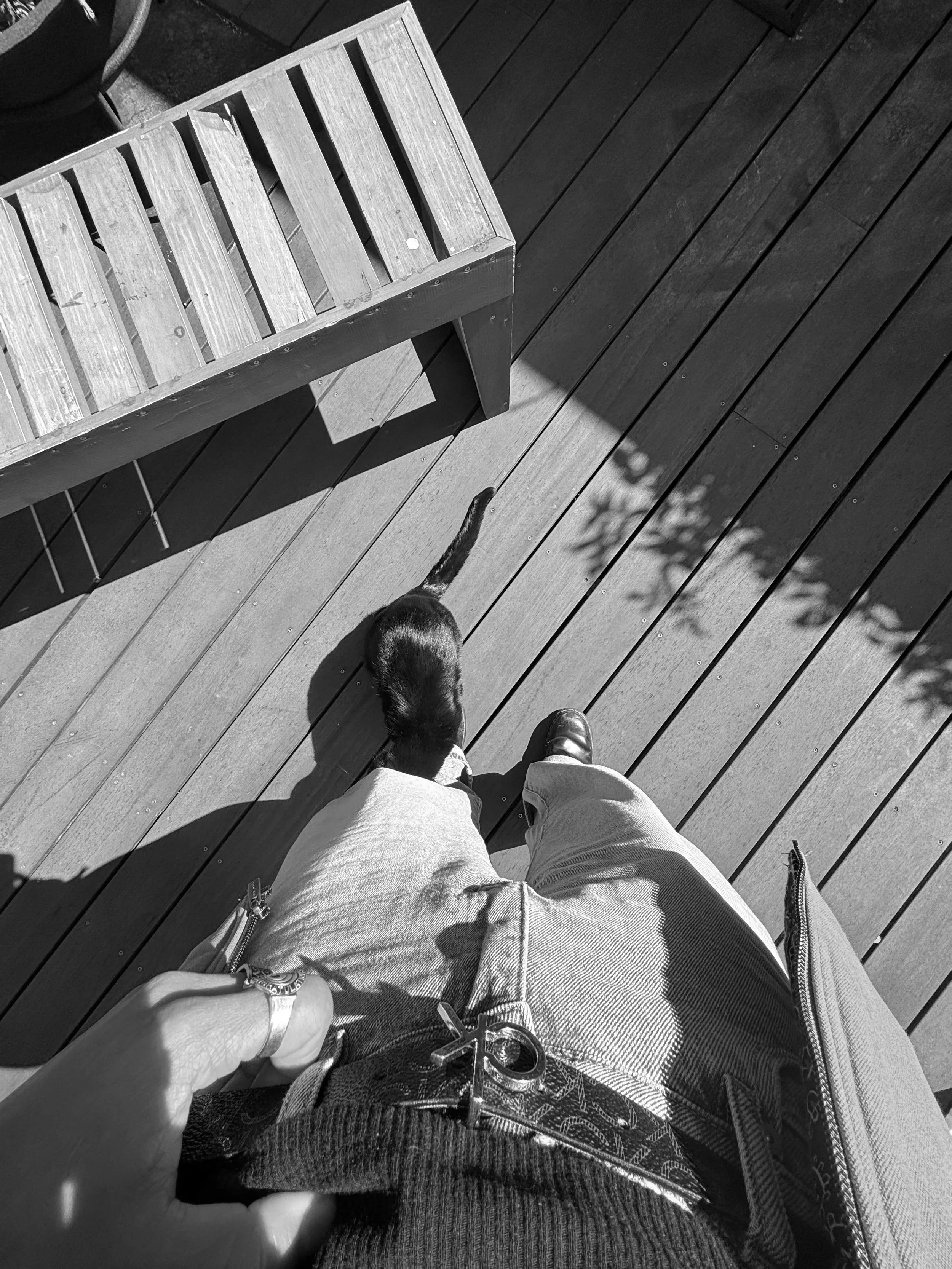 Black and white photo from above showing a person holding a dog's leash, standing on a wooden deck with a small bench nearby, and a shadow of a plant cast on the deck.
